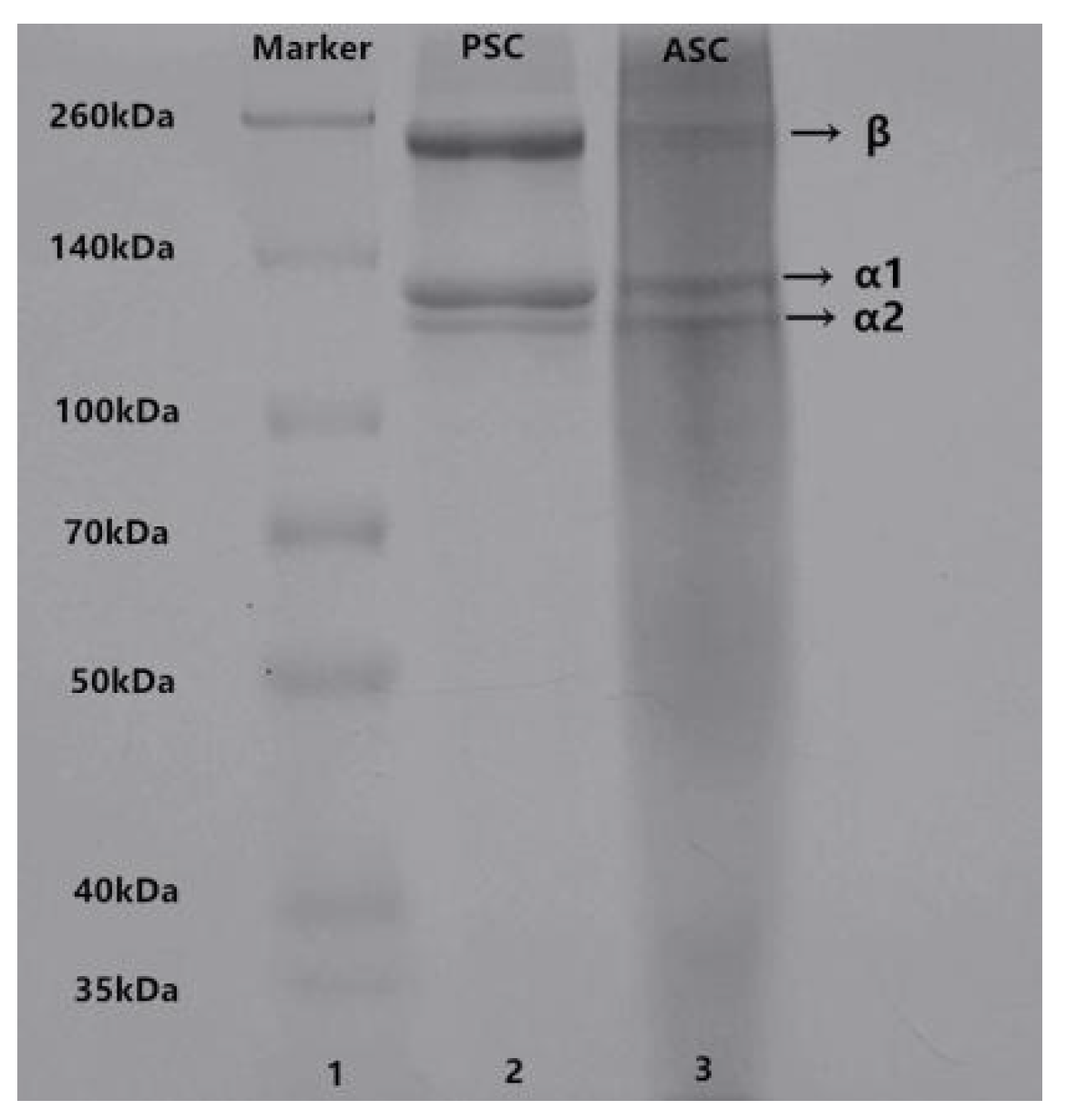 Marinedrugs 19 00597 g001