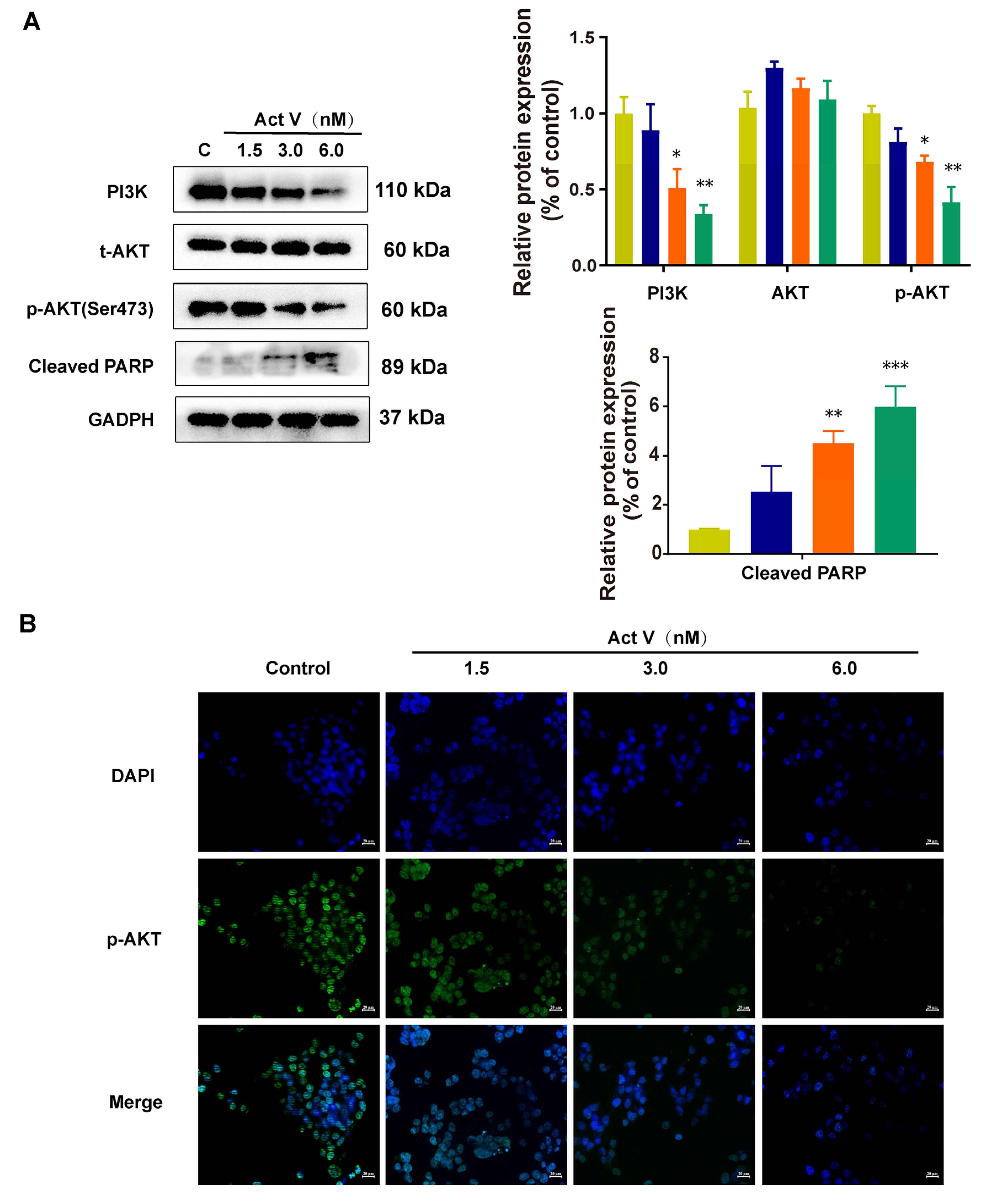 Marinedrugs 19 00599 g005