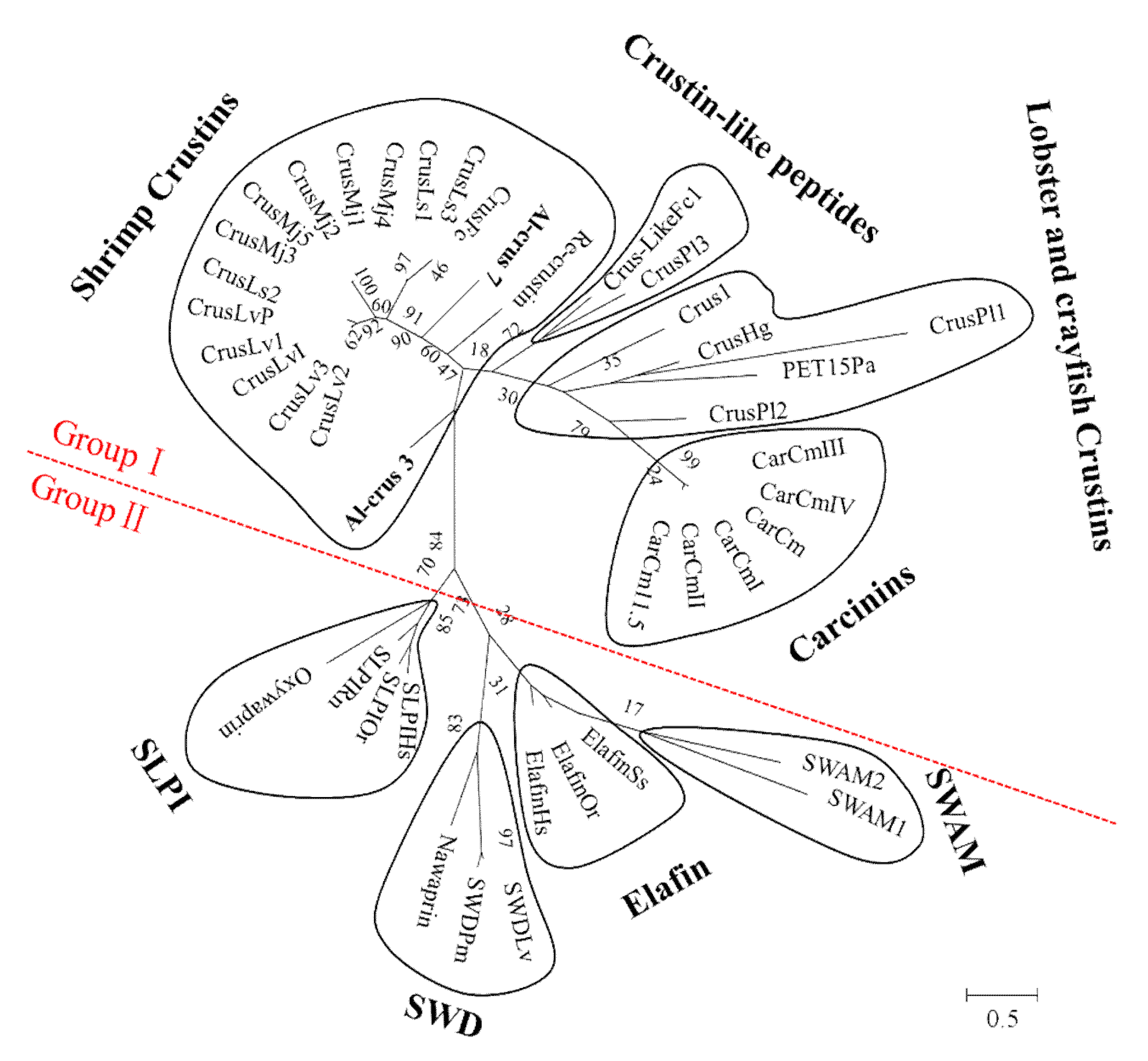Marinedrugs 19 00600 g002