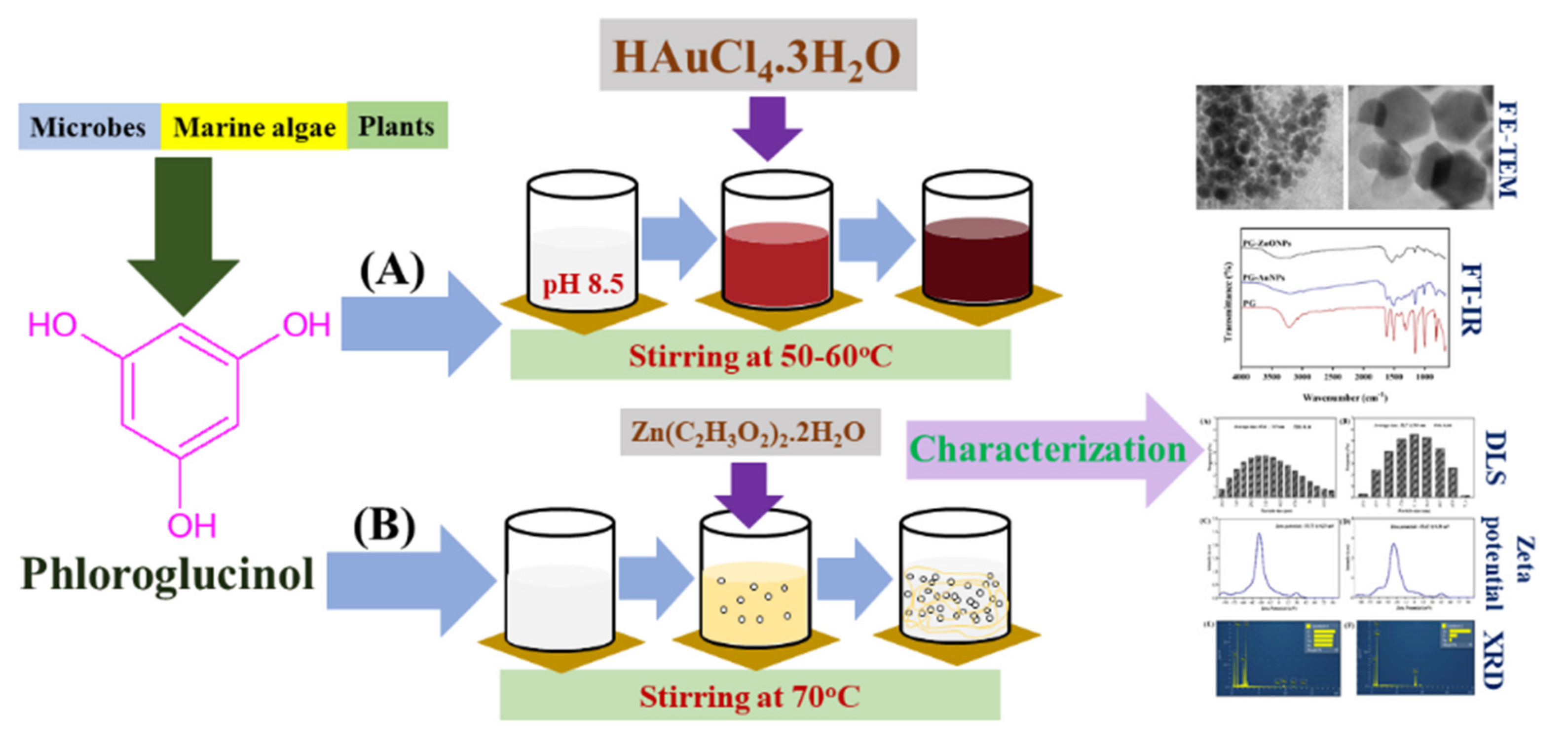 Marinedrugs 19 00601 g001 550