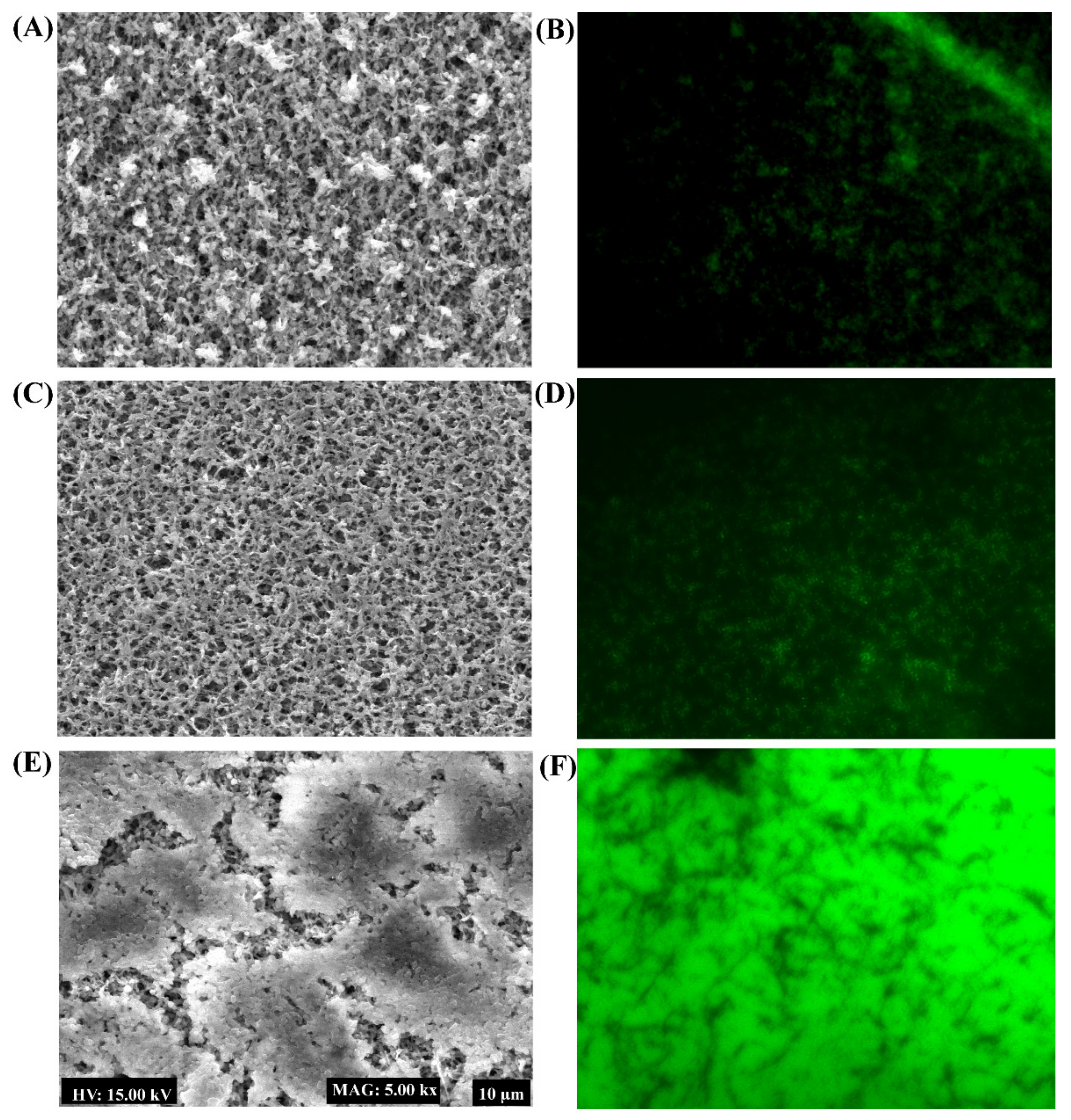 Marinedrugs 19 00601 g008 550