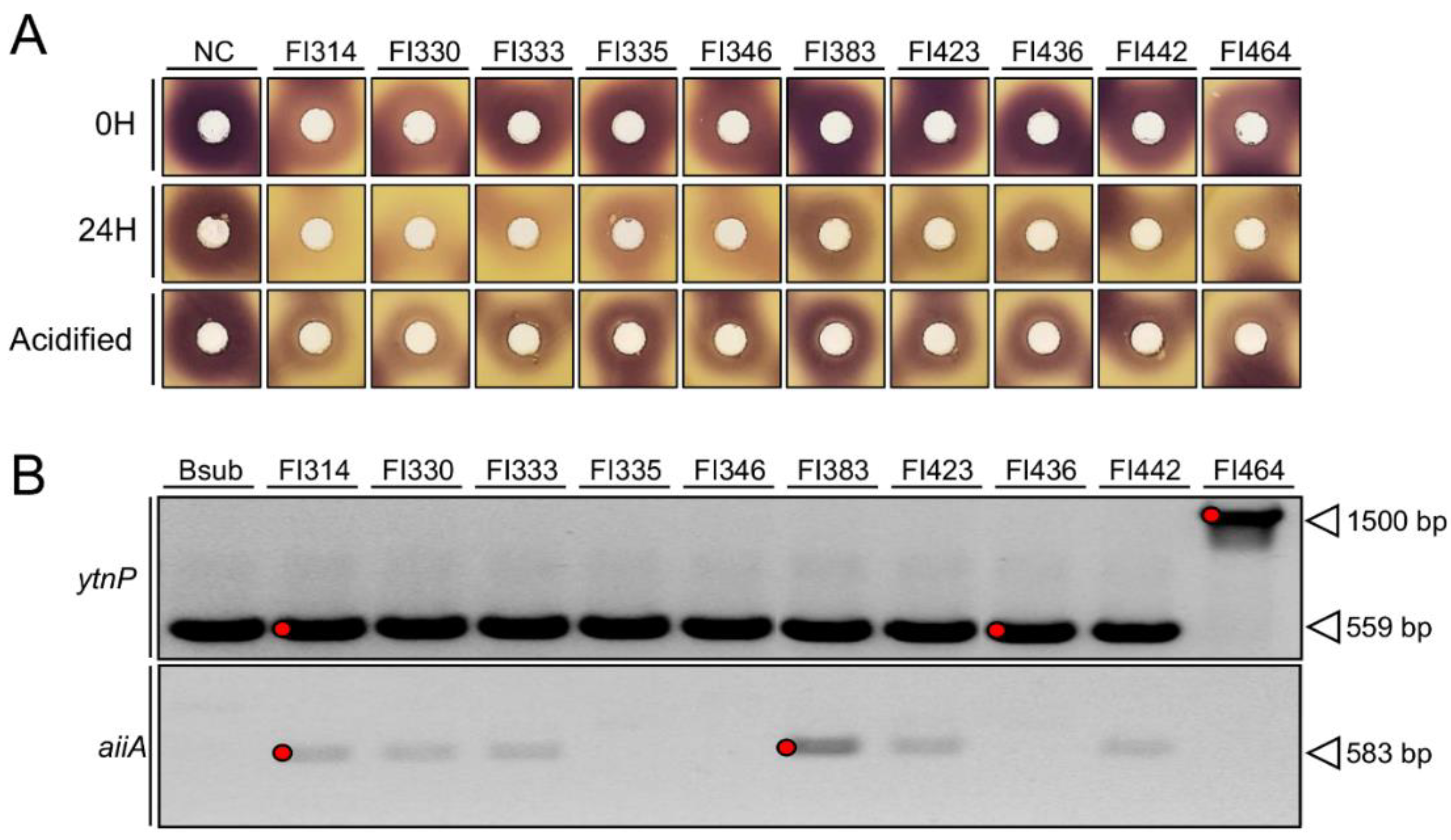 Marinedrugs 19 00602 g002 Marinedrugs 19 00602 g002