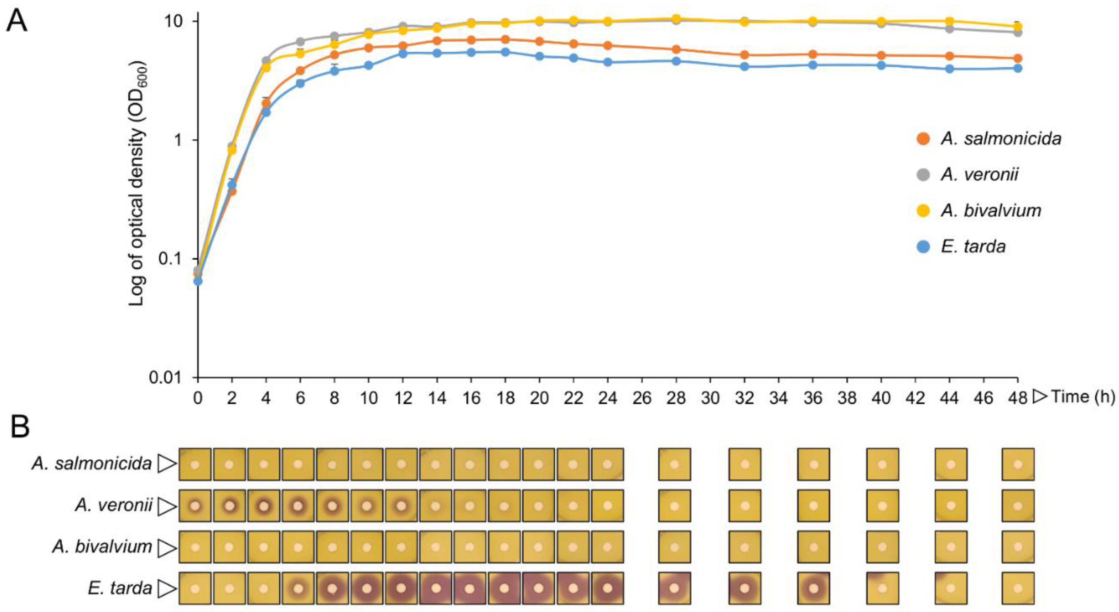 Marinedrugs 19 00602 g003 Marinedrugs 19 00602 g003