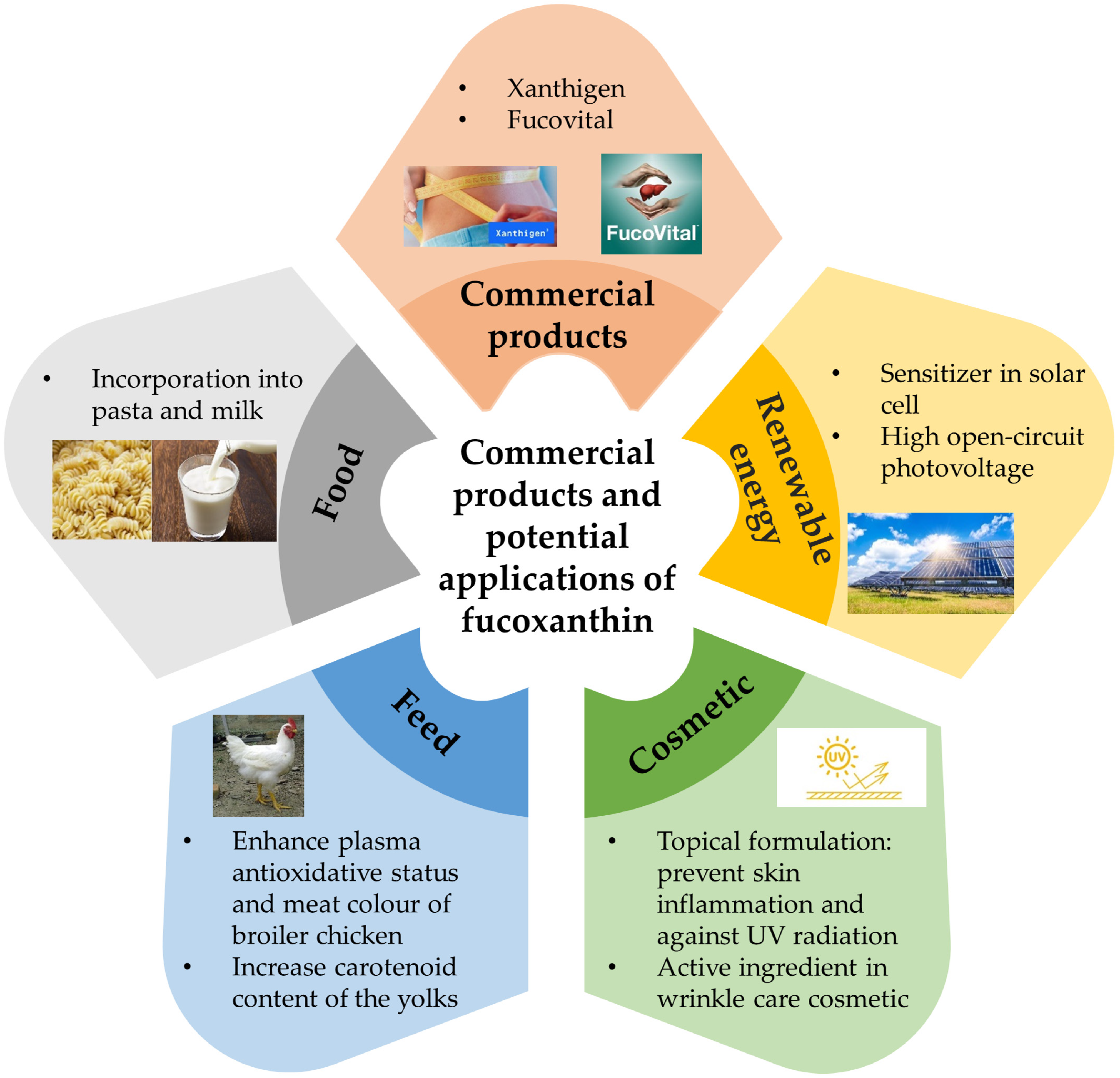 Marinedrugs 19 00606 g006 550