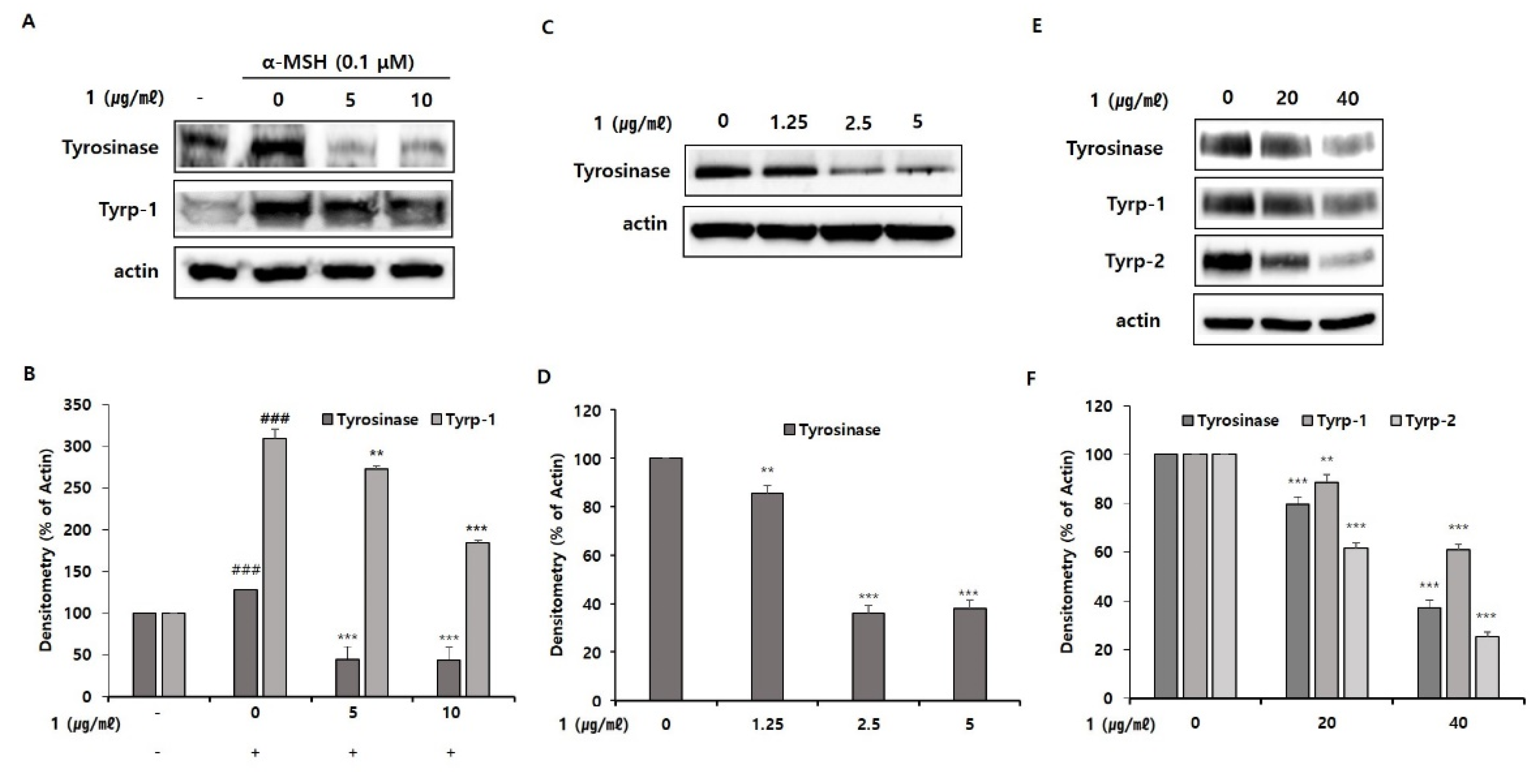 Marinedrugs 19 00612 g006 550