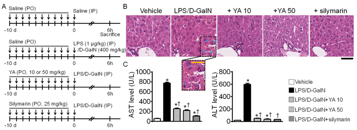 Marinedrugs 19 00614 g001