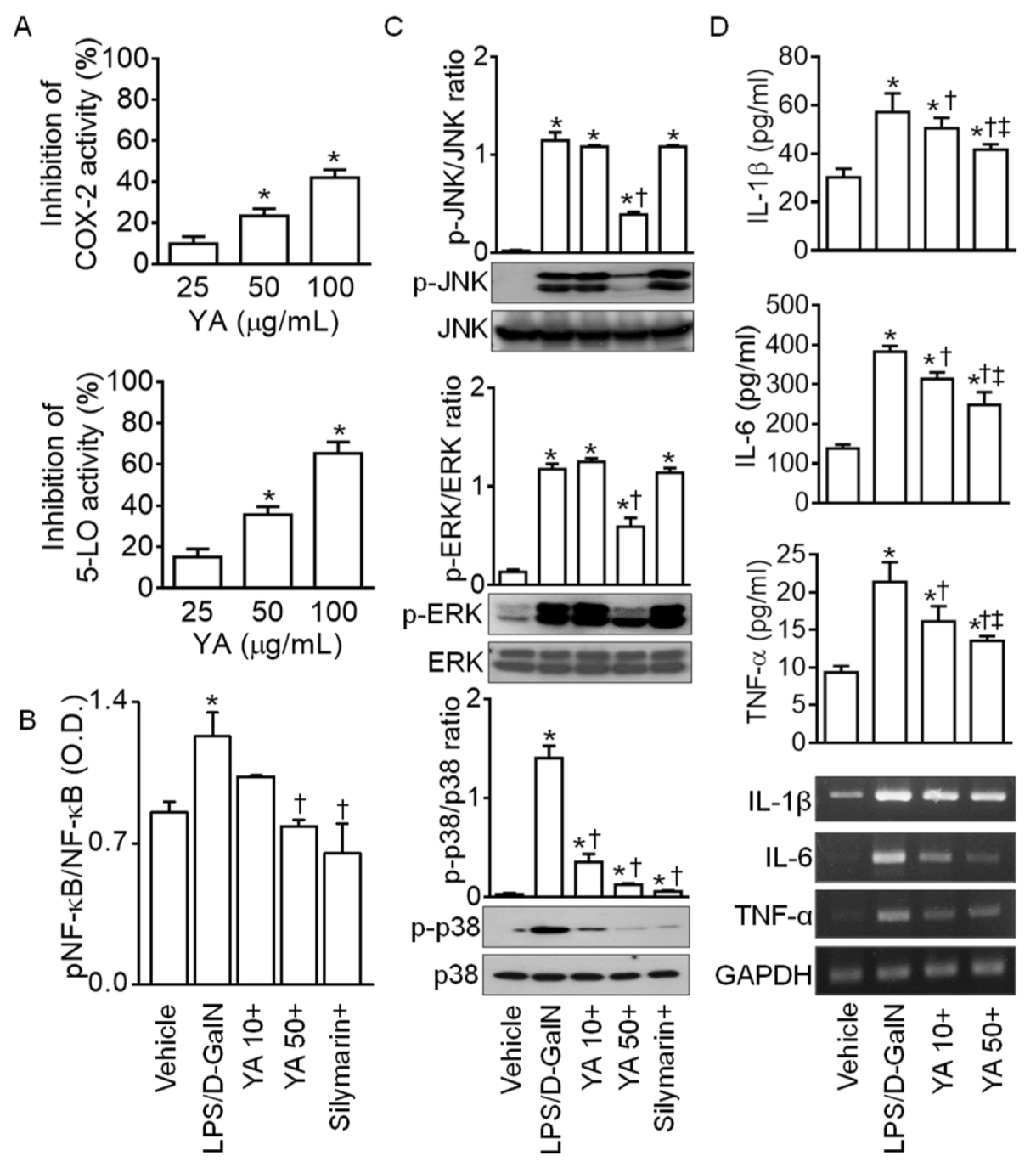 Marinedrugs 19 00614 g002