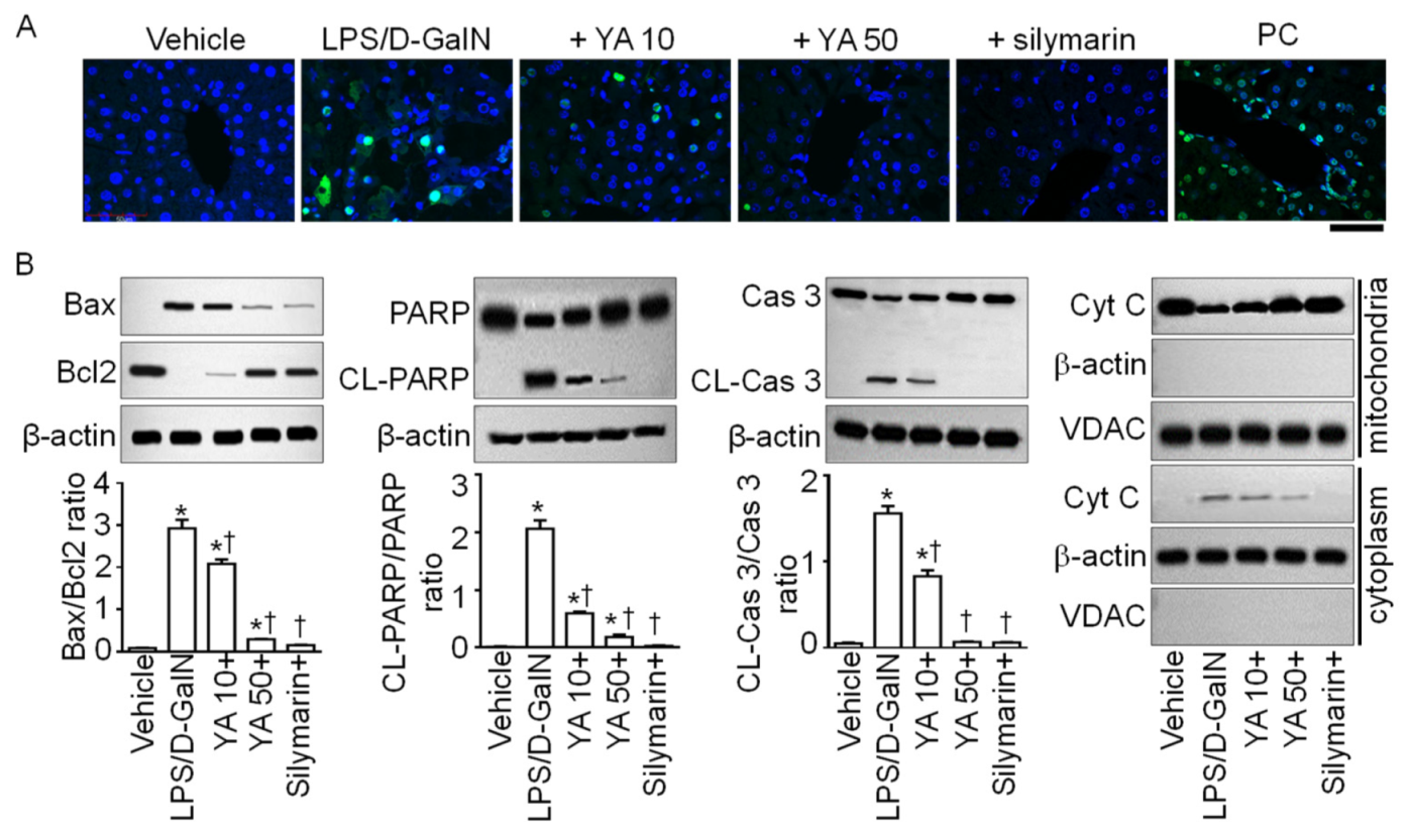 Marinedrugs 19 00614 g003
