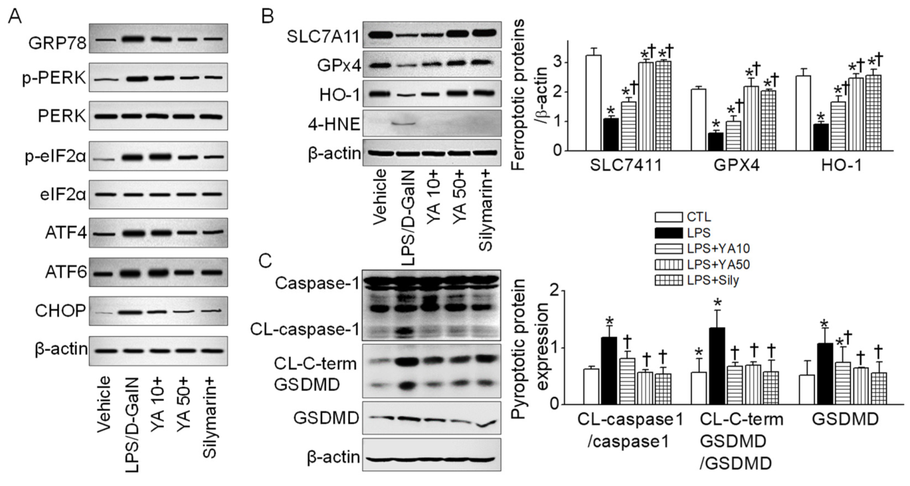Marinedrugs 19 00614 g004