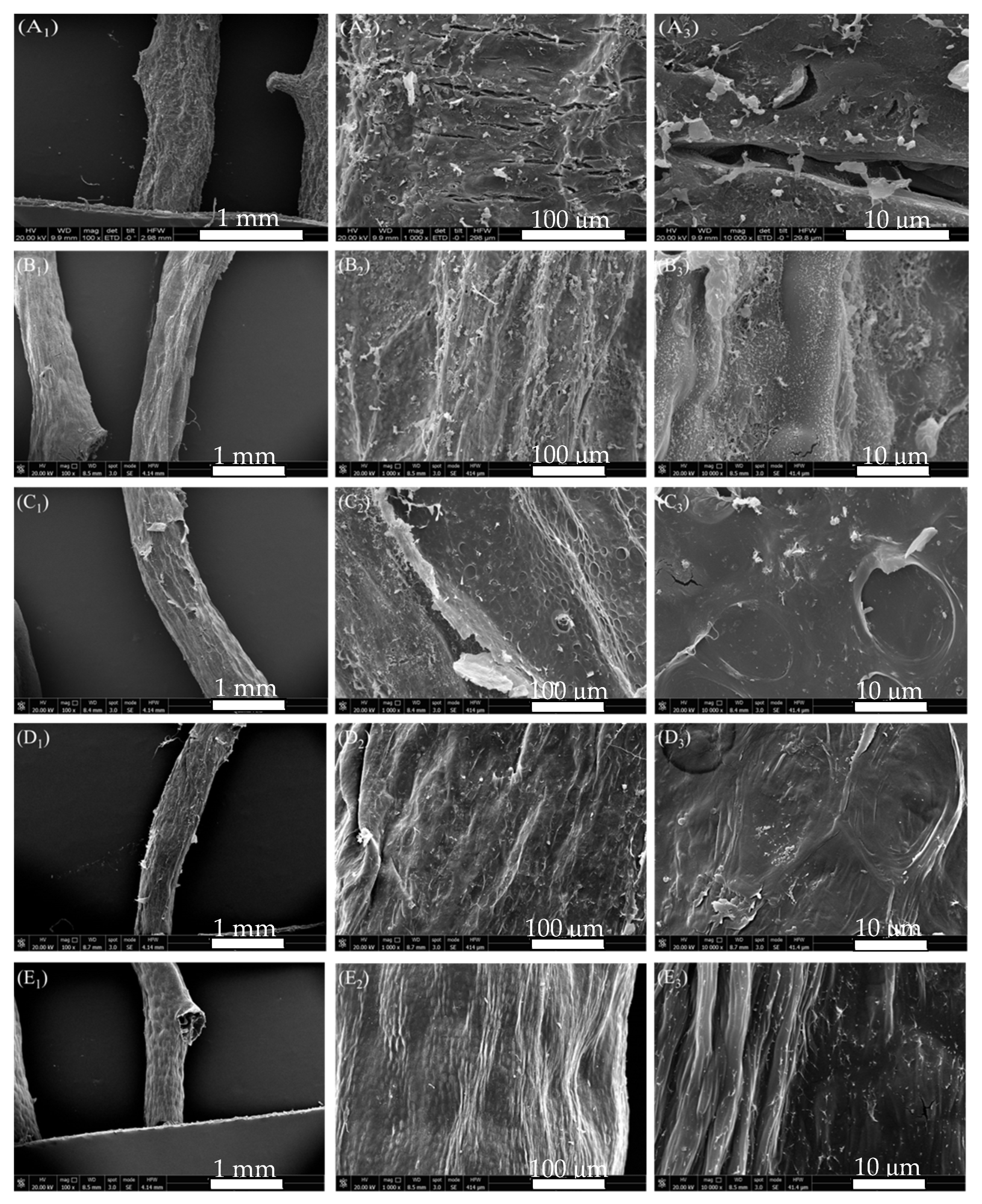 Marinedrugs 19 00617 g004