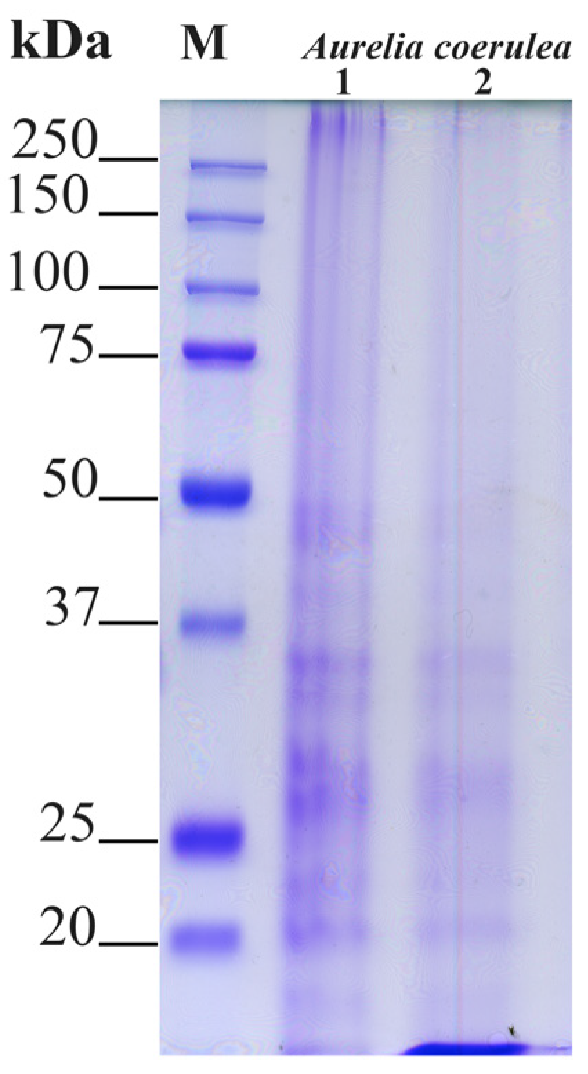 Marinedrugs 19 00619 g003 Marinedrugs 19 00619 g003