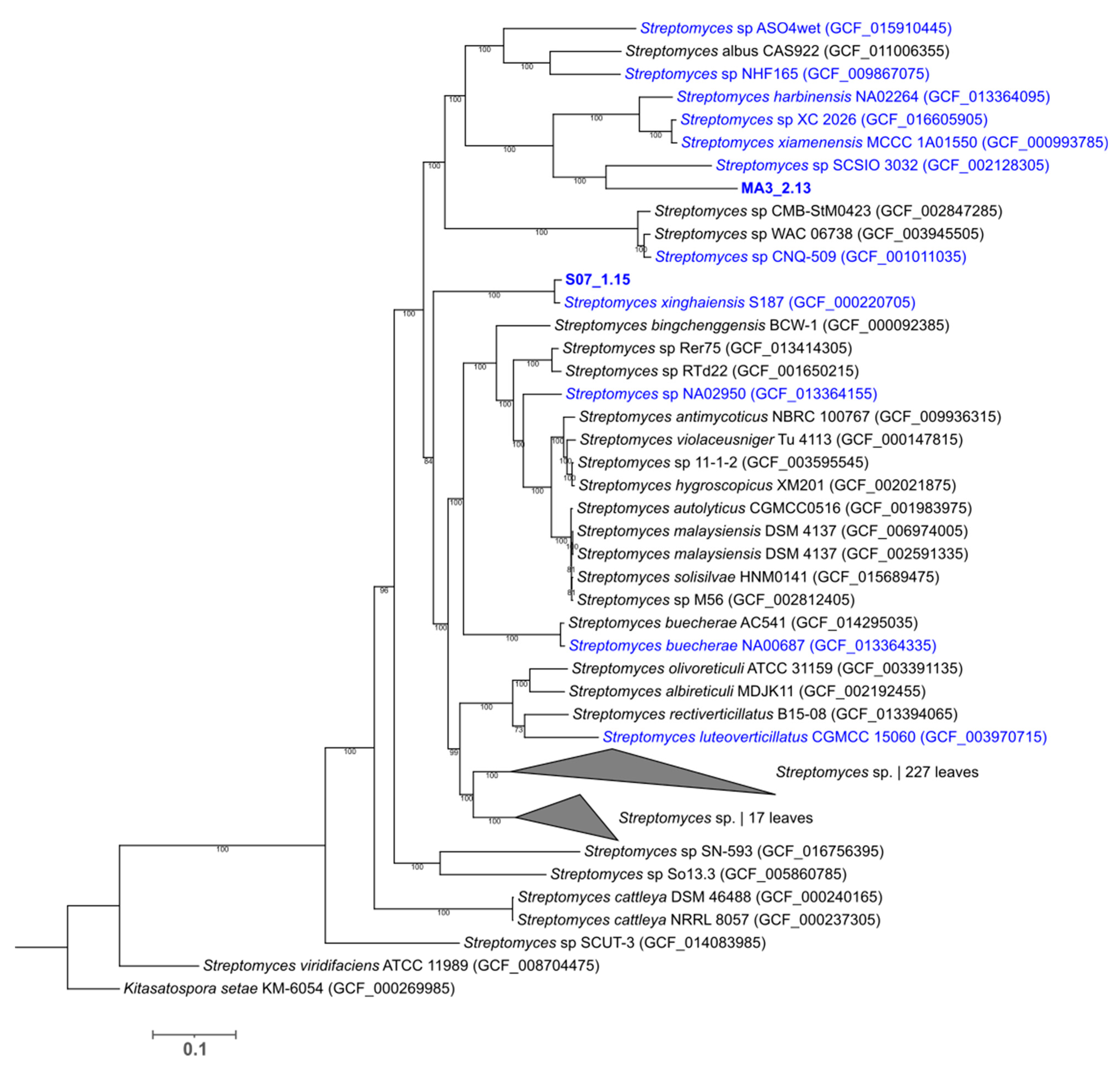 Marinedrugs 19 00621 g002 Marinedrugs 19 00621 g002