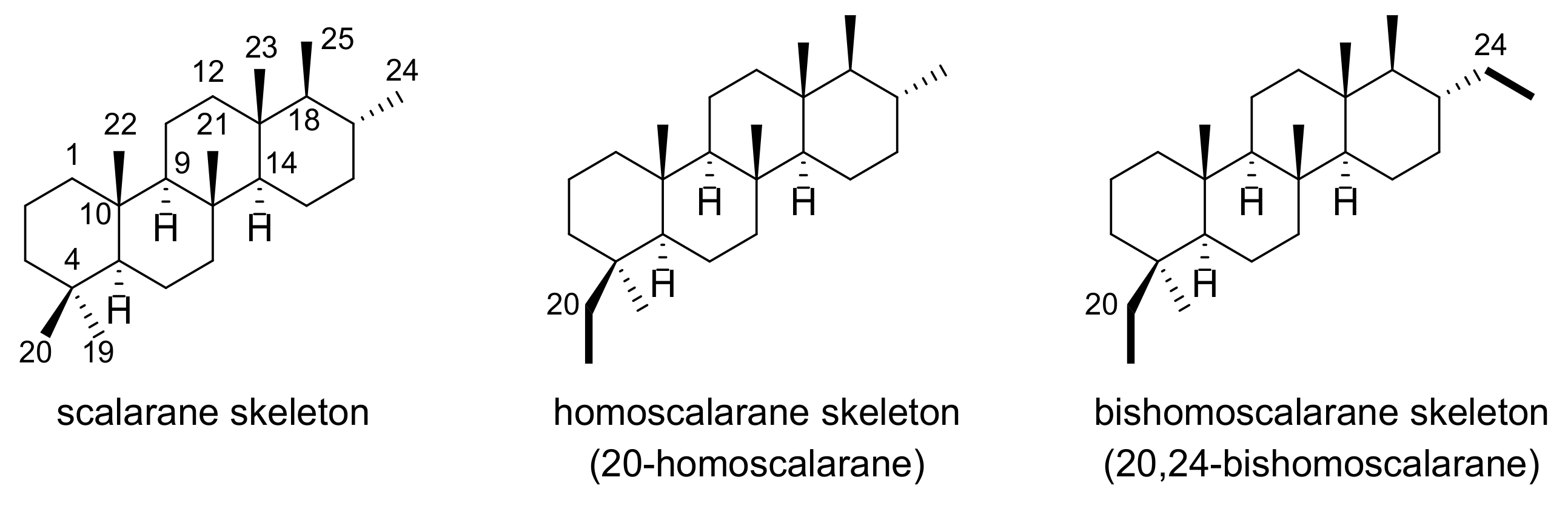 Marinedrugs 19 00627 g001 550
