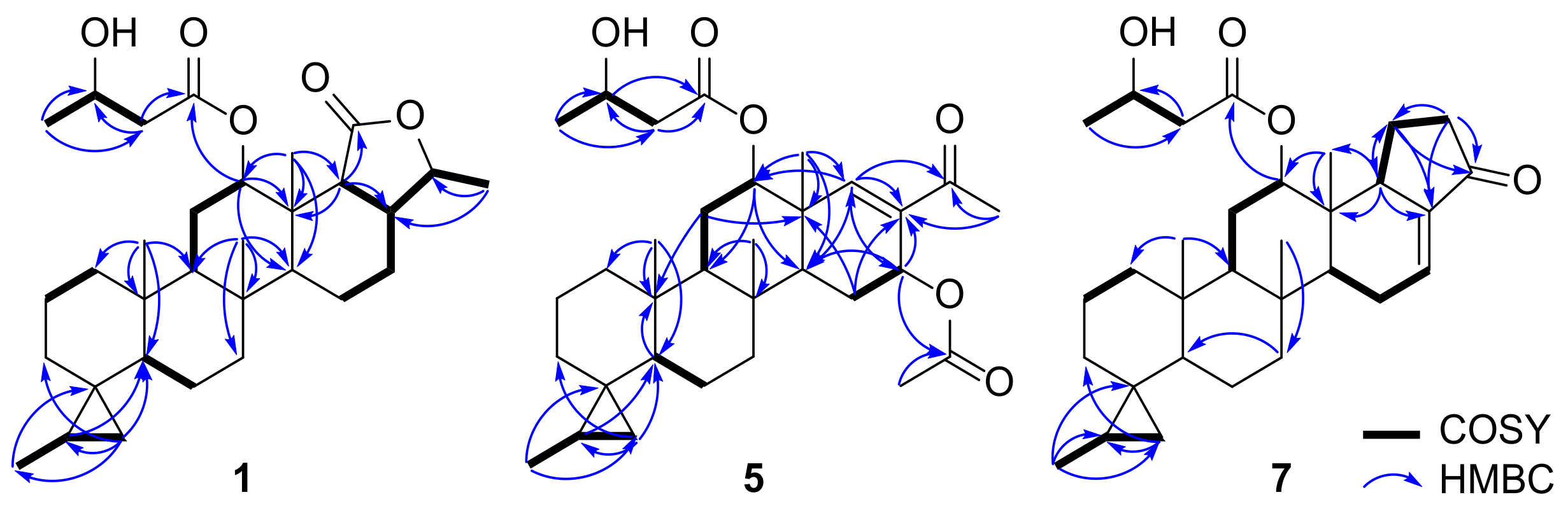 Marinedrugs 19 00627 g004 550