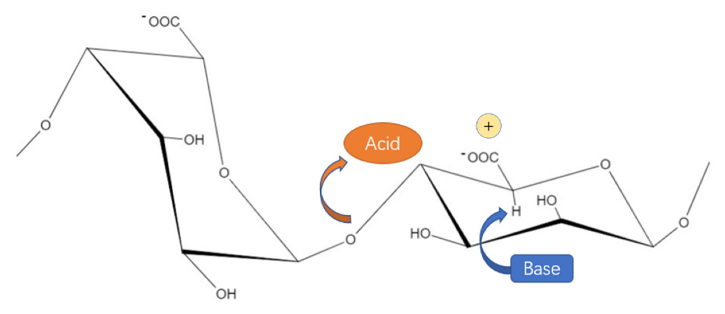Marinedrugs 19 00628 g003 Marinedrugs 19 00628 g003