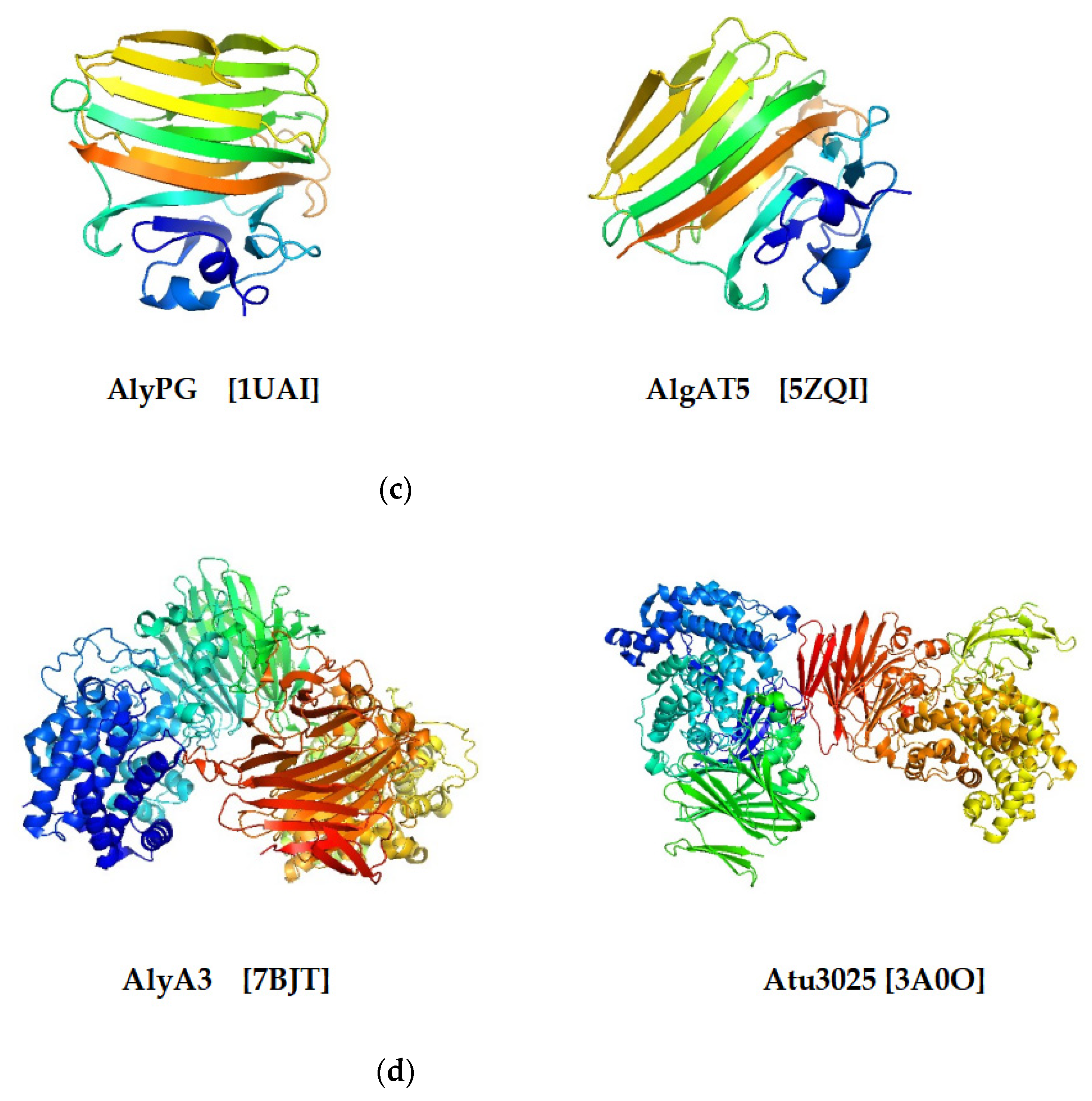 Marinedrugs 19 00628 g004b Marinedrugs 19 00628 g004b