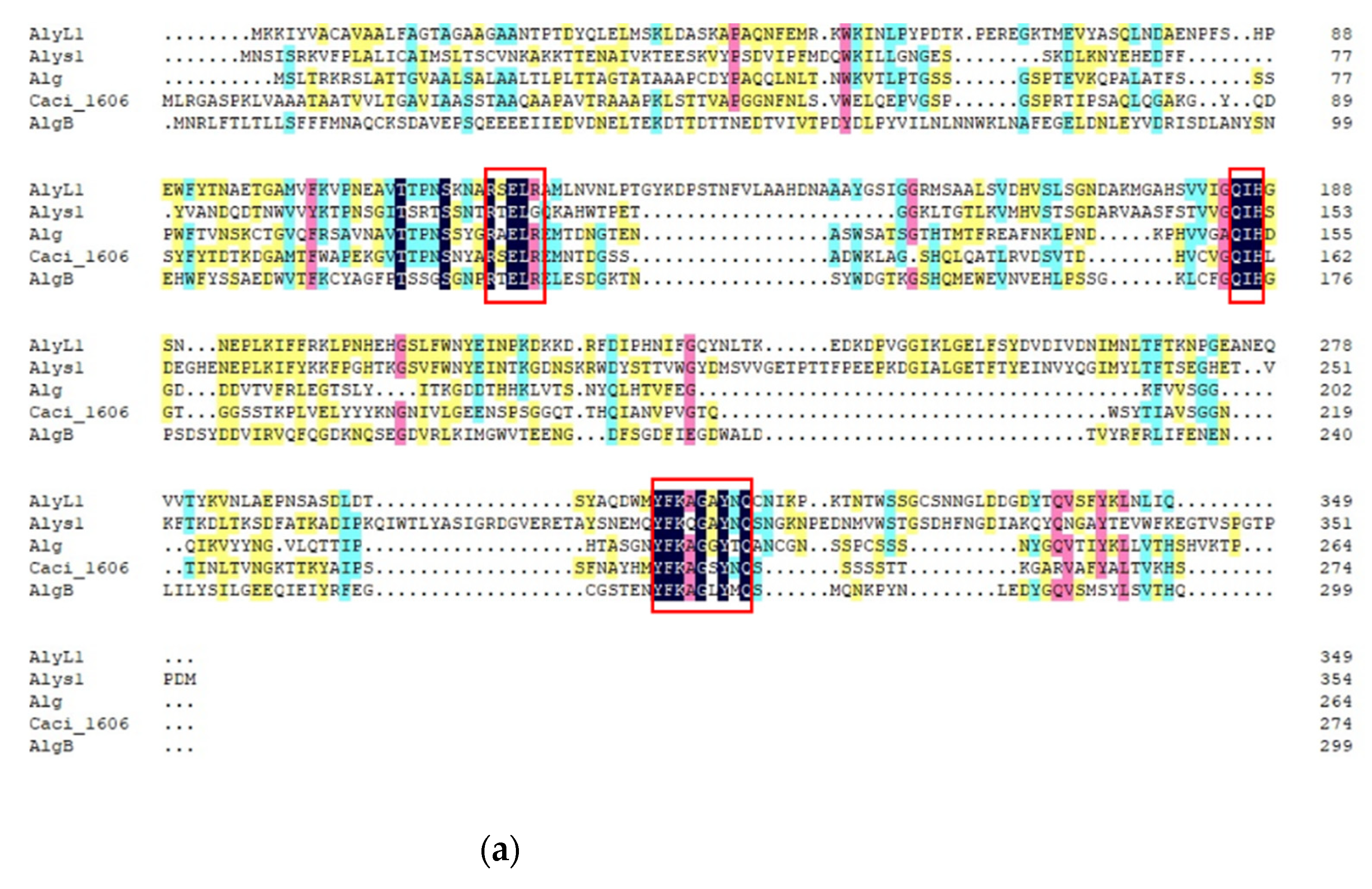 Marinedrugs 19 00628 g005a Marinedrugs 19 00628 g005a