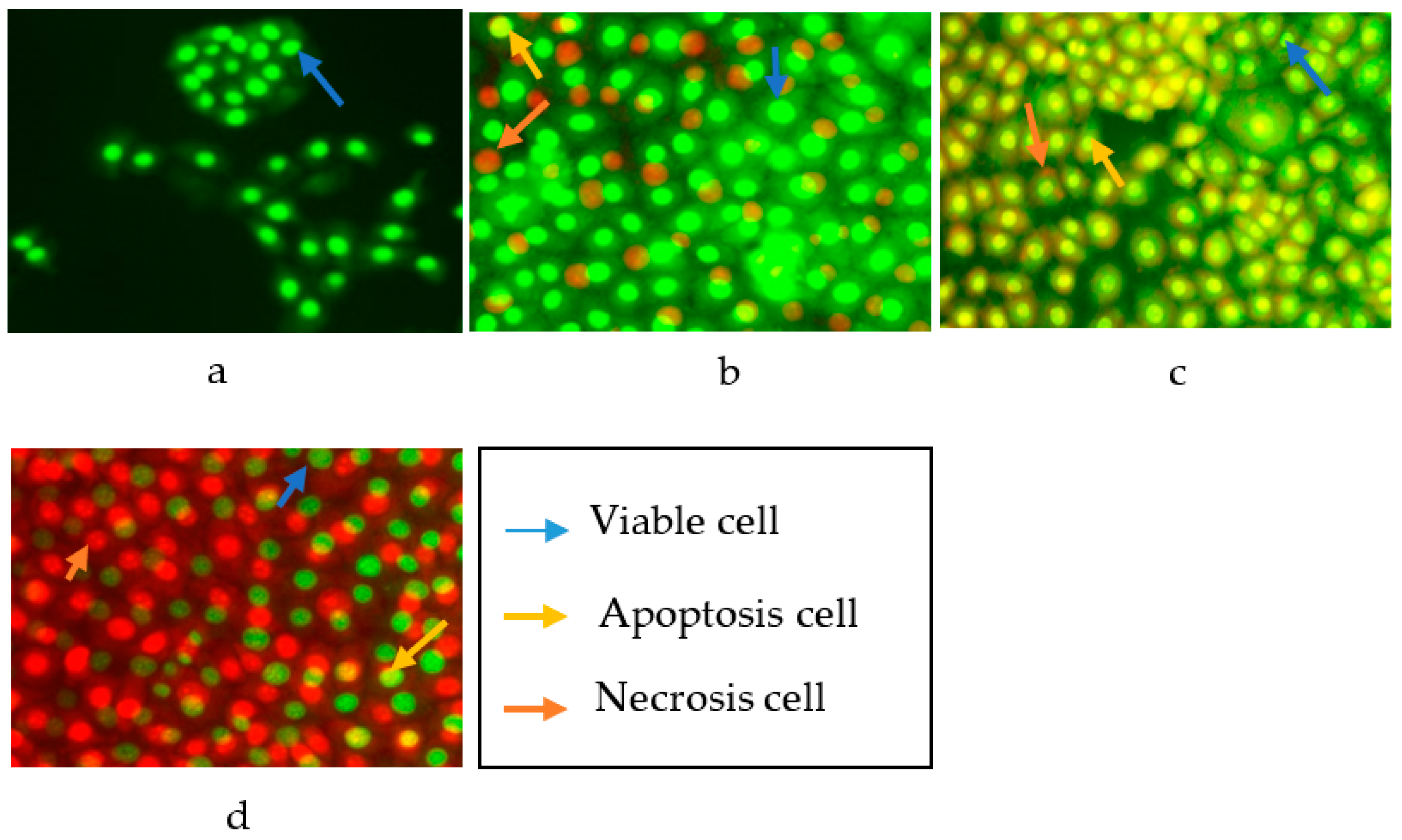 Marinedrugs 19 00631 g003