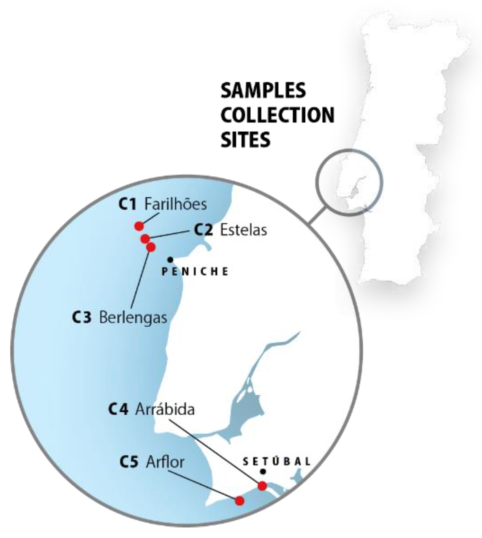 Marinedrugs 19 00632 g006 550