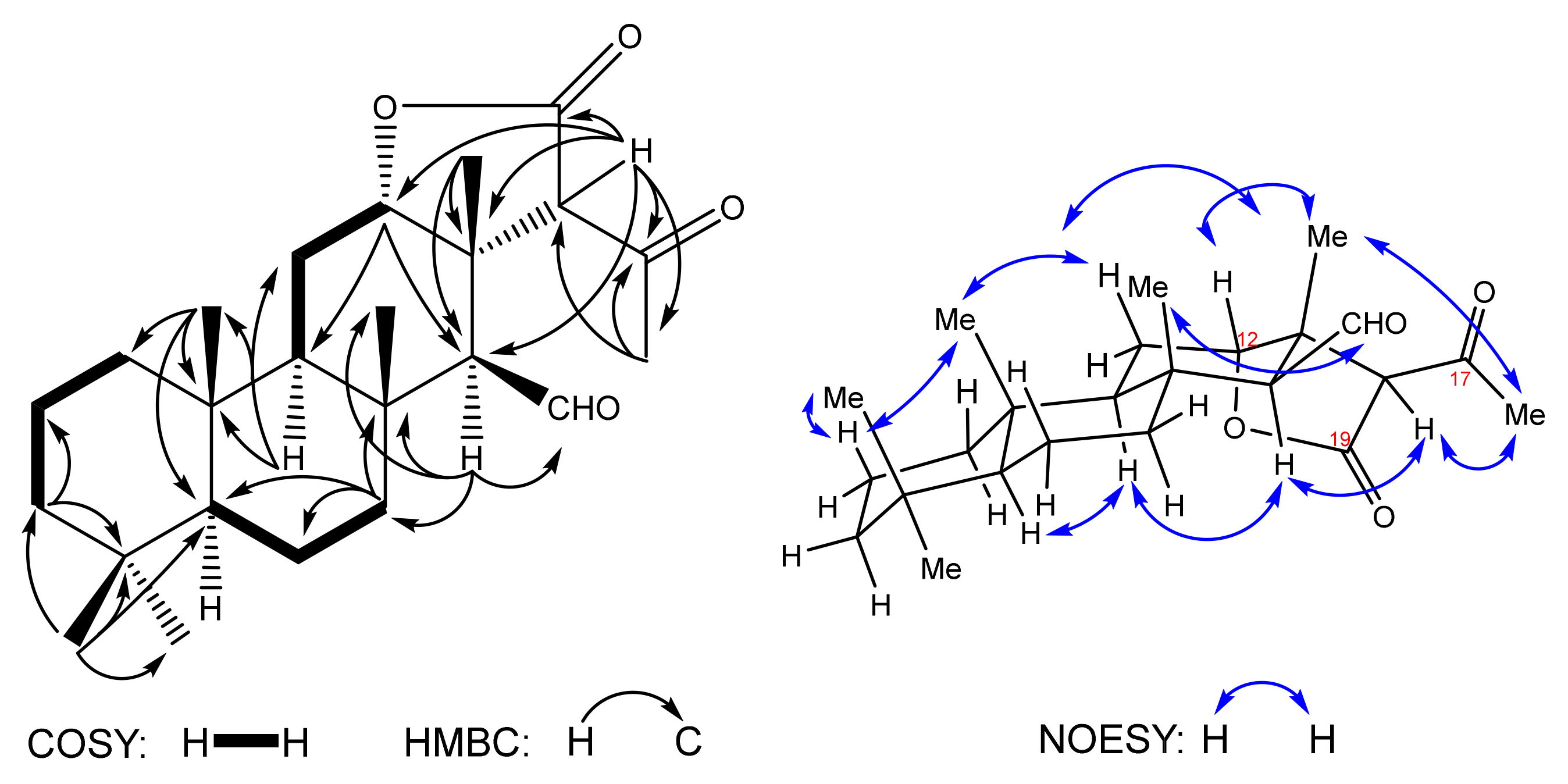 Marinedrugs 19 00636 g002 550