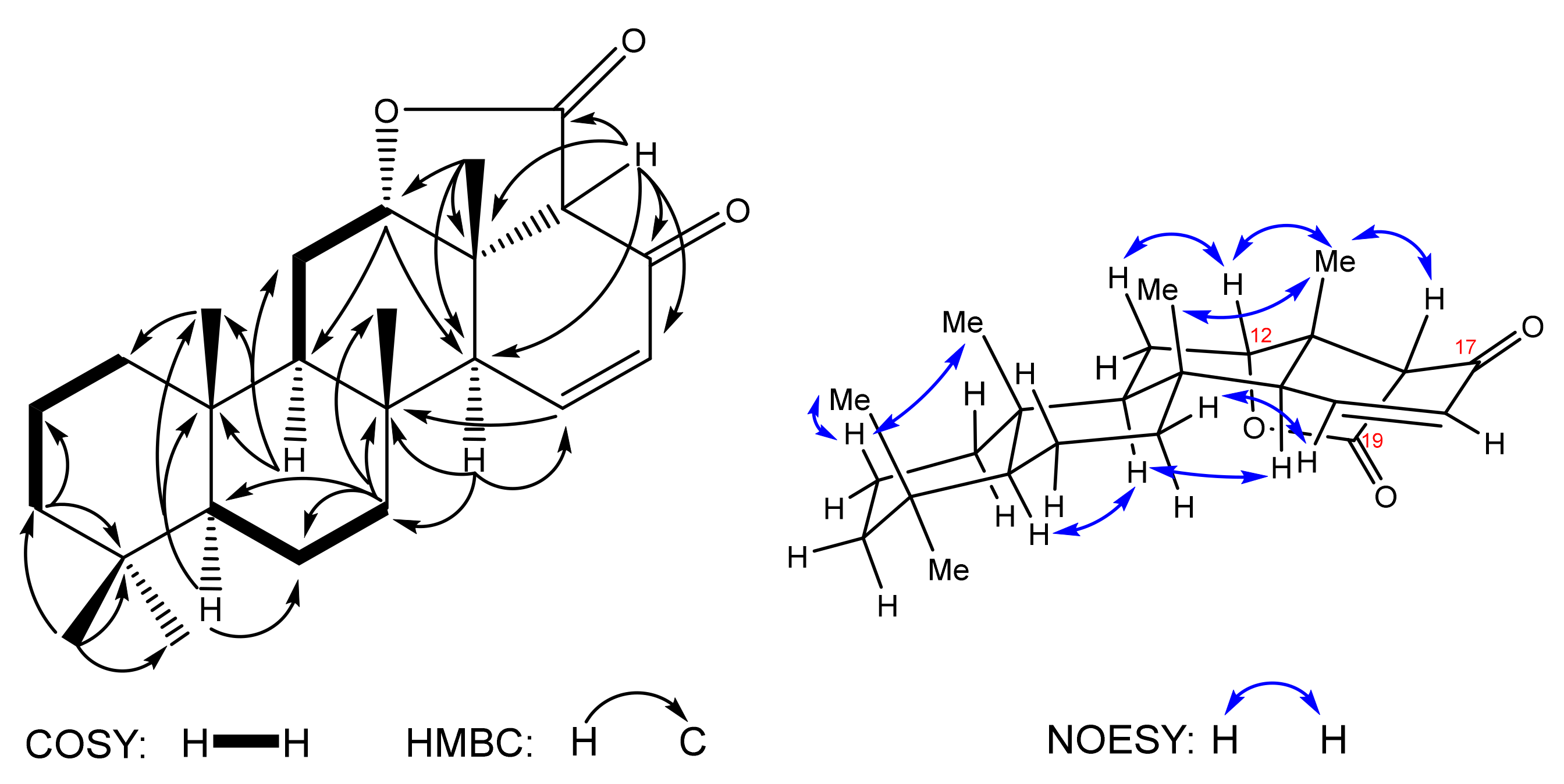 Marinedrugs 19 00636 g003 550
