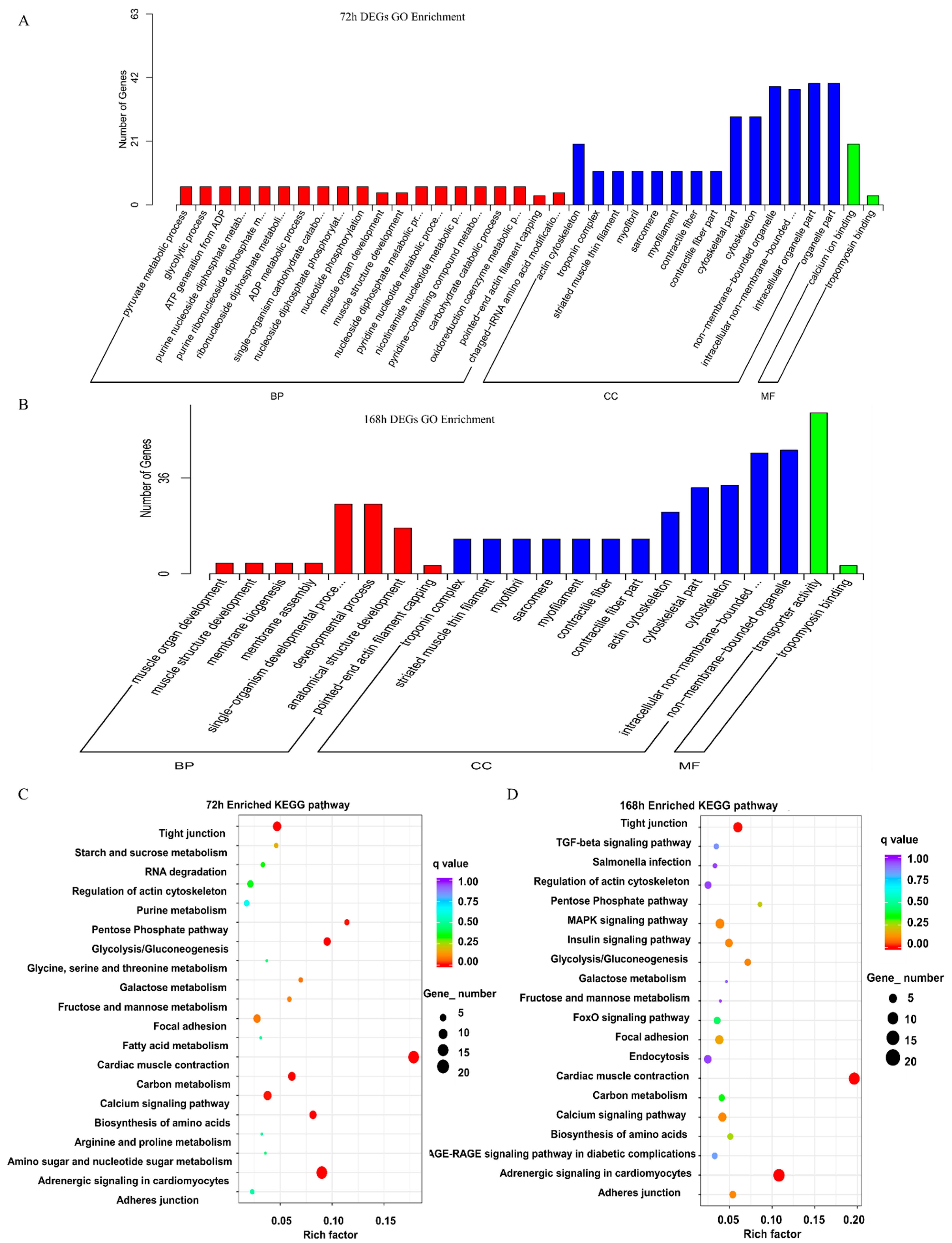 Marinedrugs 19 00639 g004 550