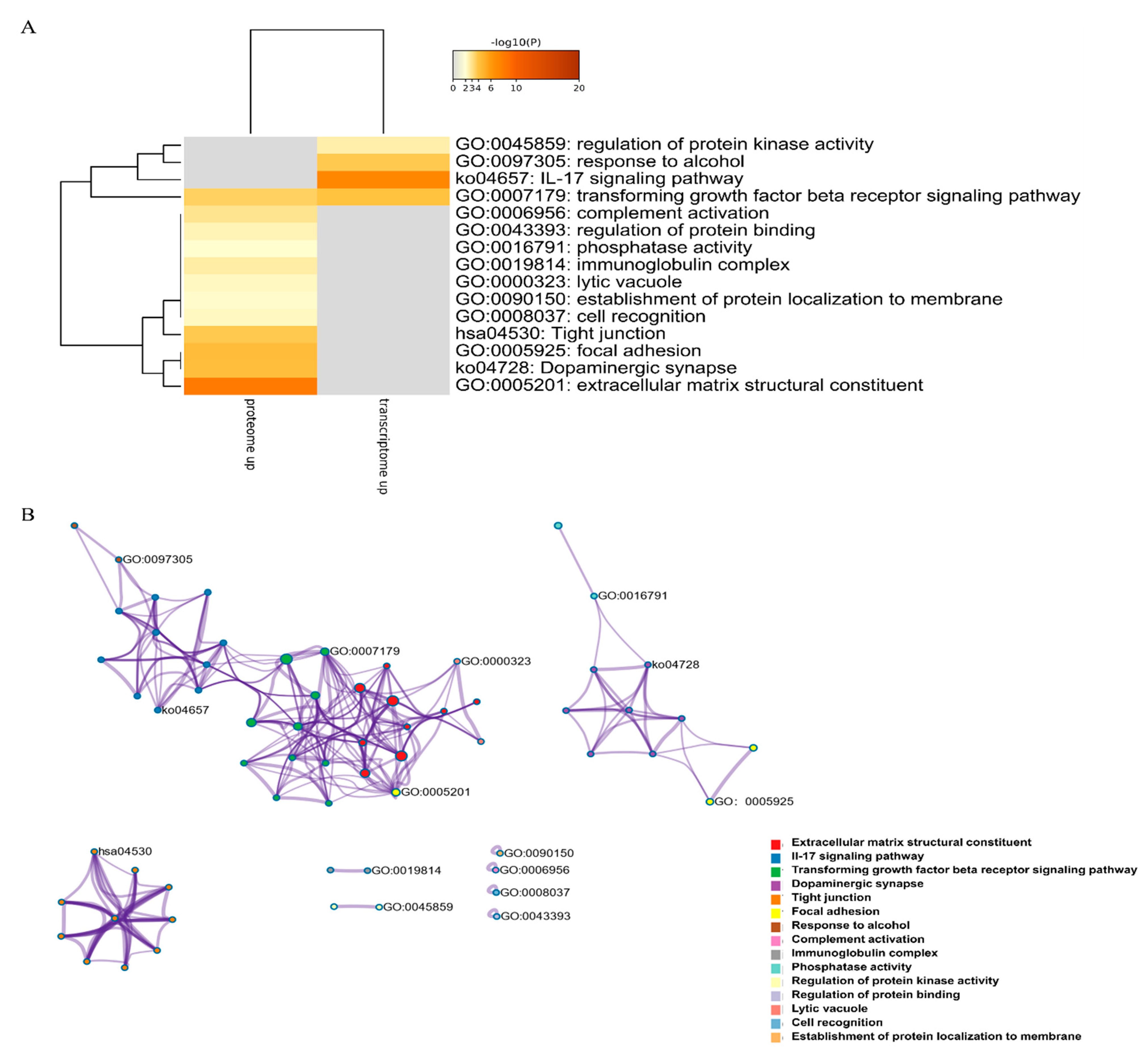 Marinedrugs 19 00639 g006a 550