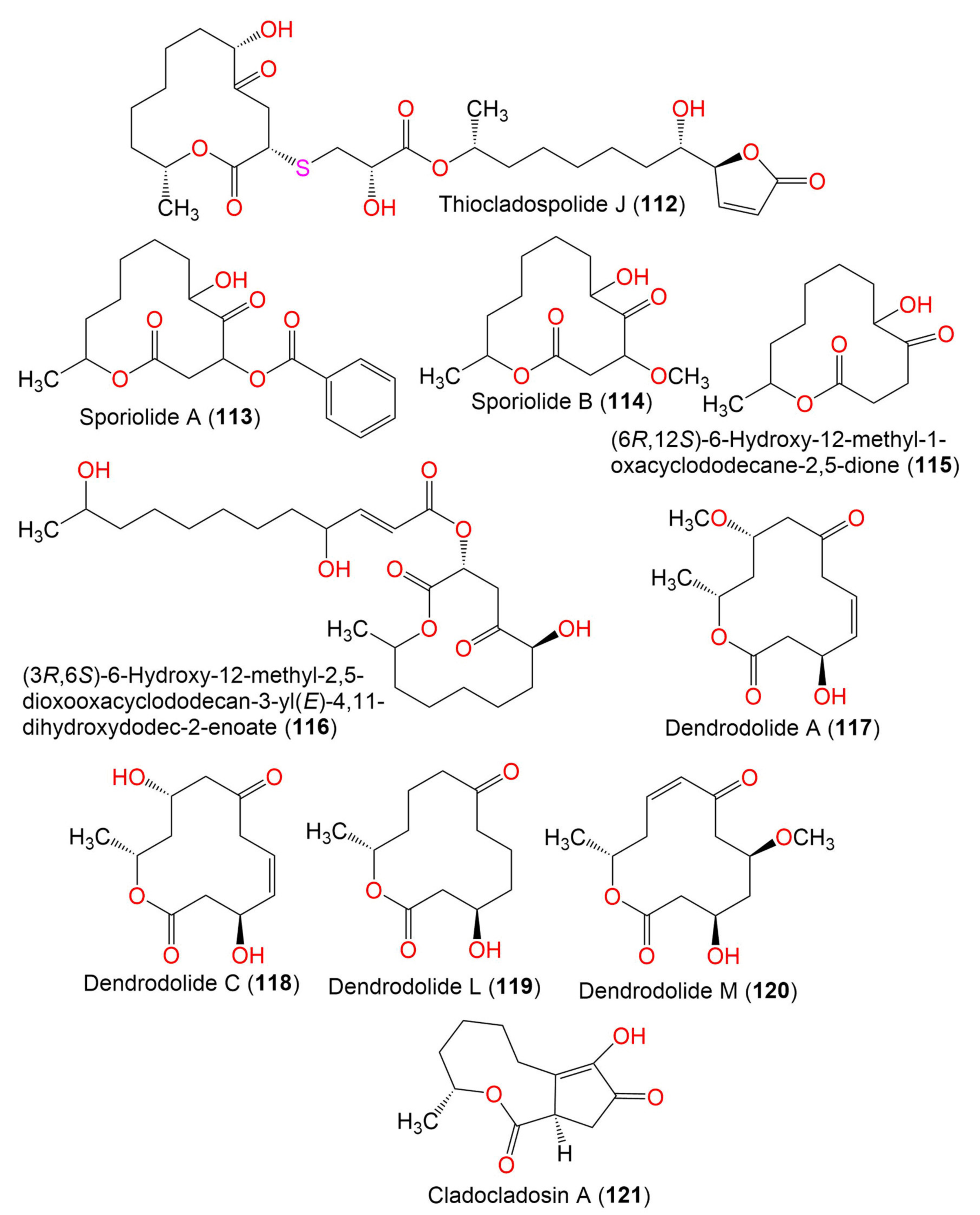 Marinedrugs 19 00645 g014 Marinedrugs 19 00645 g014