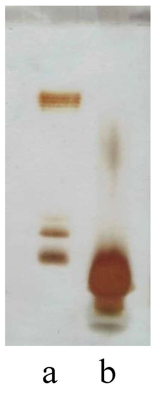 Marinedrugs 19 00646 g001