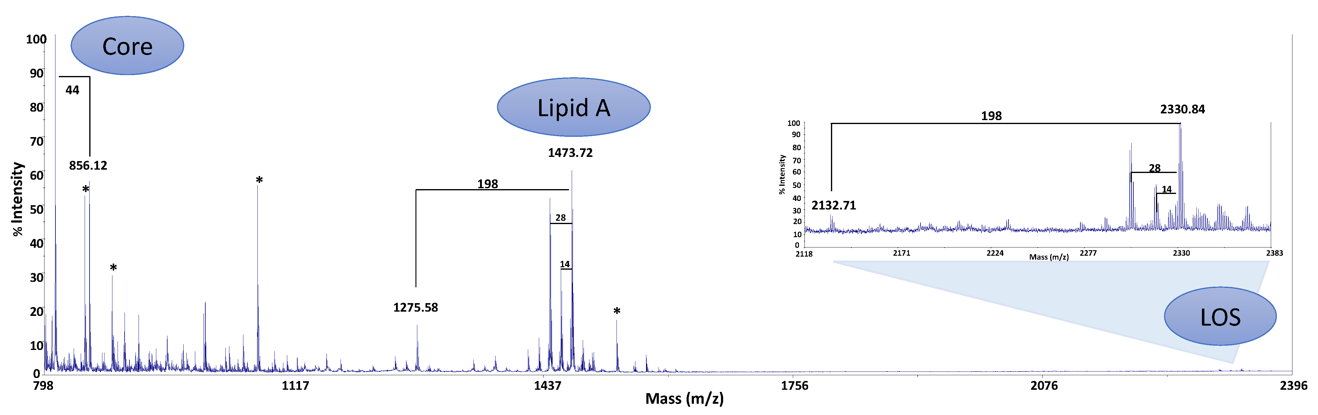 Marinedrugs 19 00646 g002