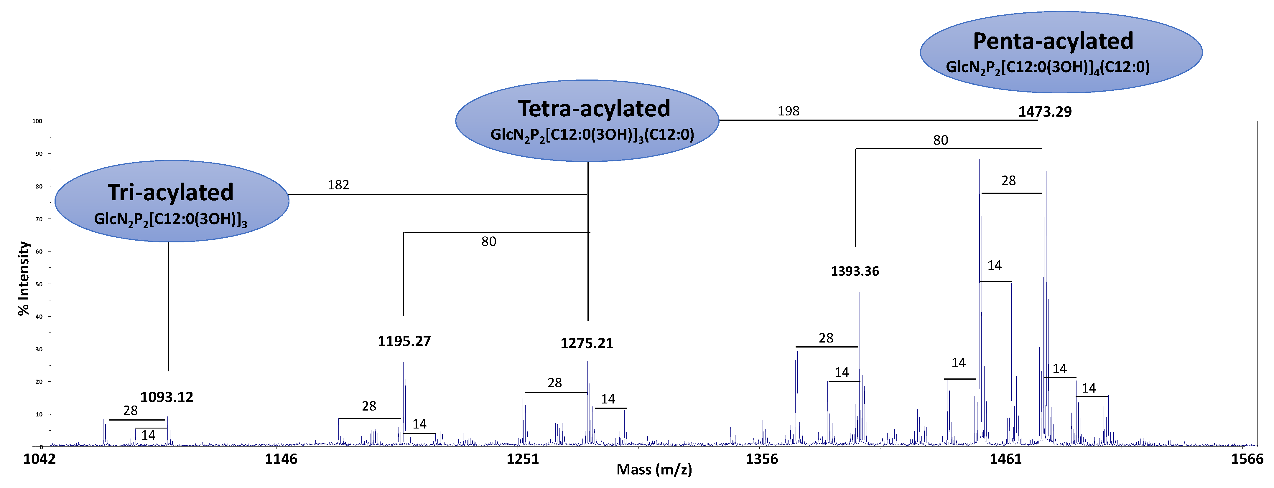 Marinedrugs 19 00646 g003