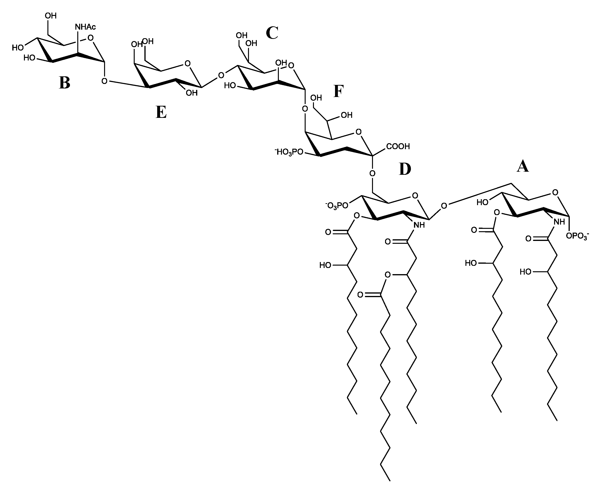 Marinedrugs 19 00646 g007