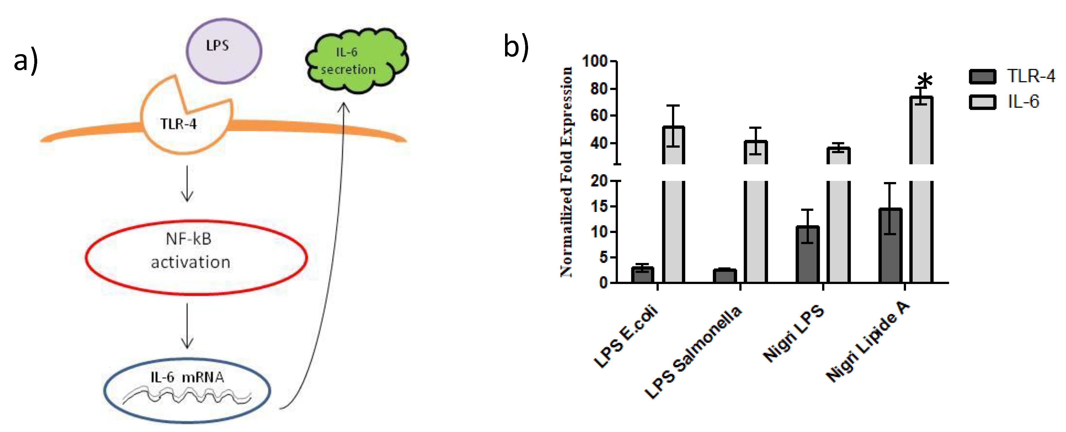 Marinedrugs 19 00646 g008