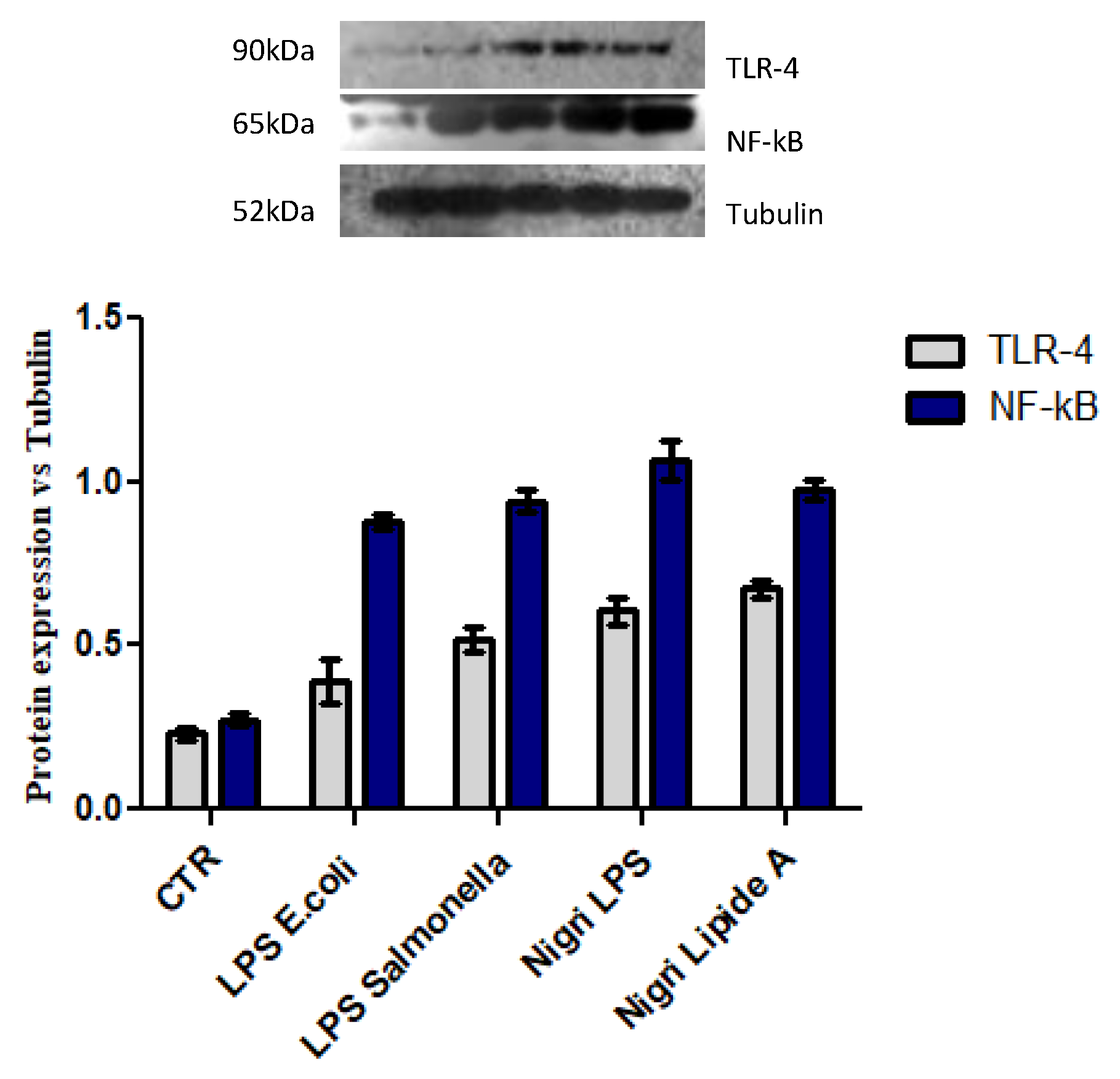 Marinedrugs 19 00646 g009
