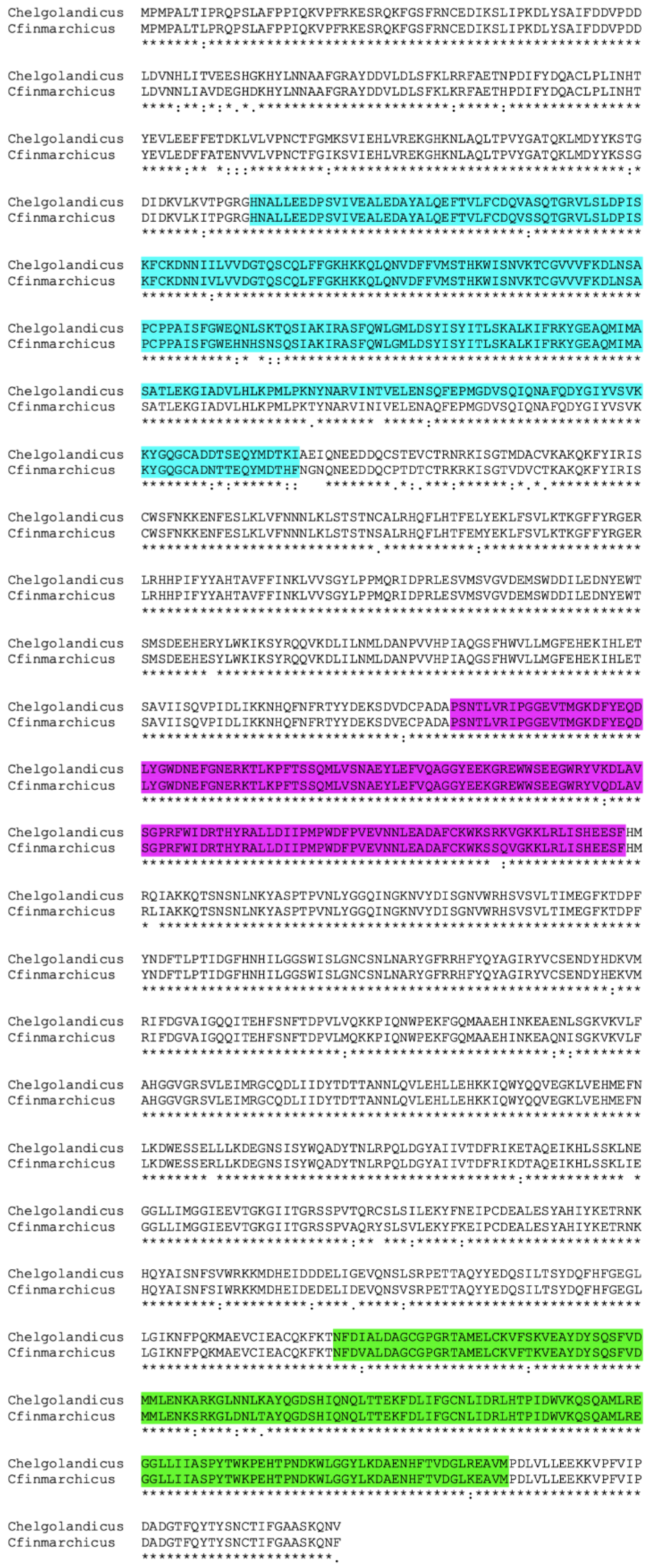 Marinedrugs 19 00647 g002