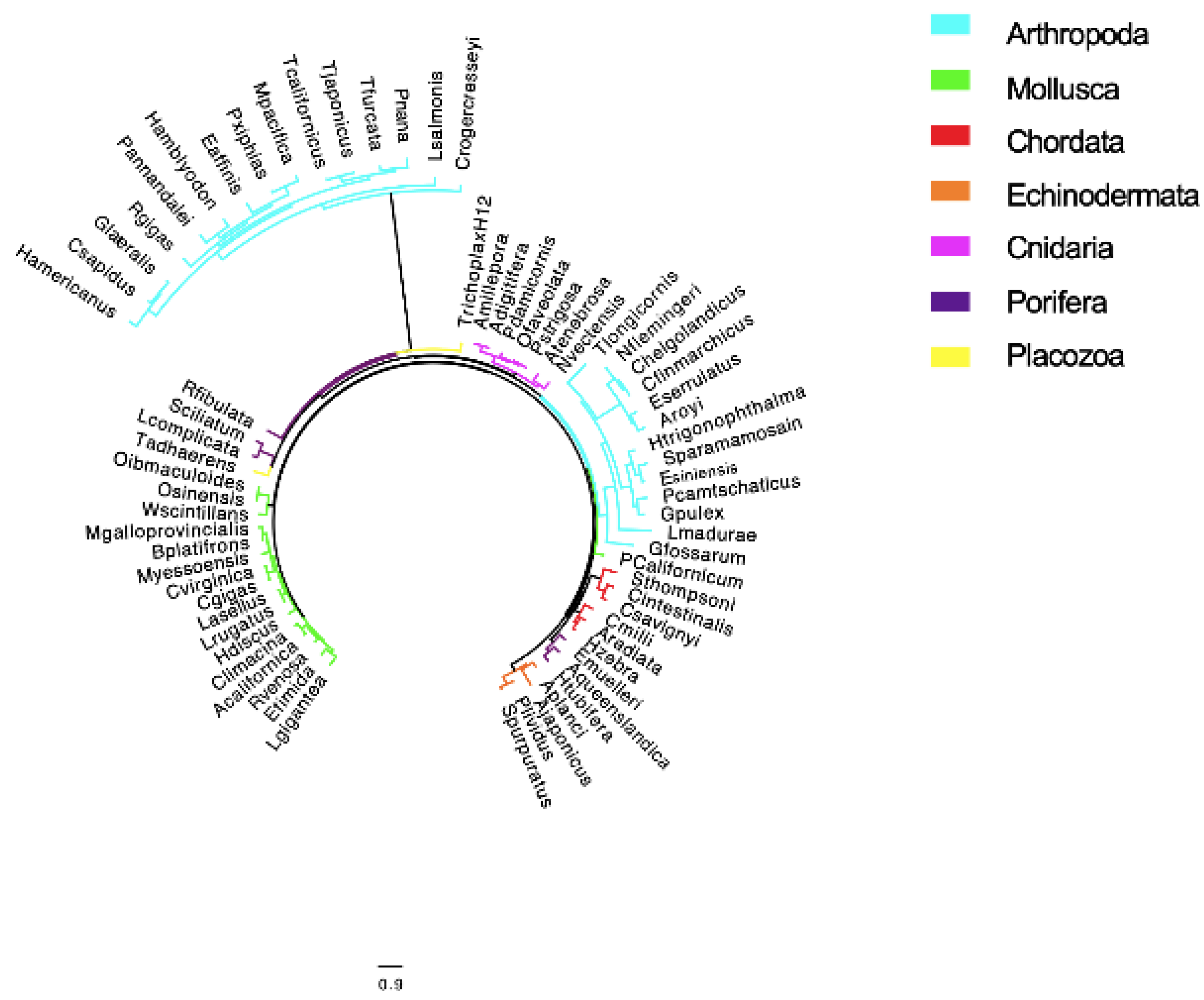 Marinedrugs 19 00647 g003