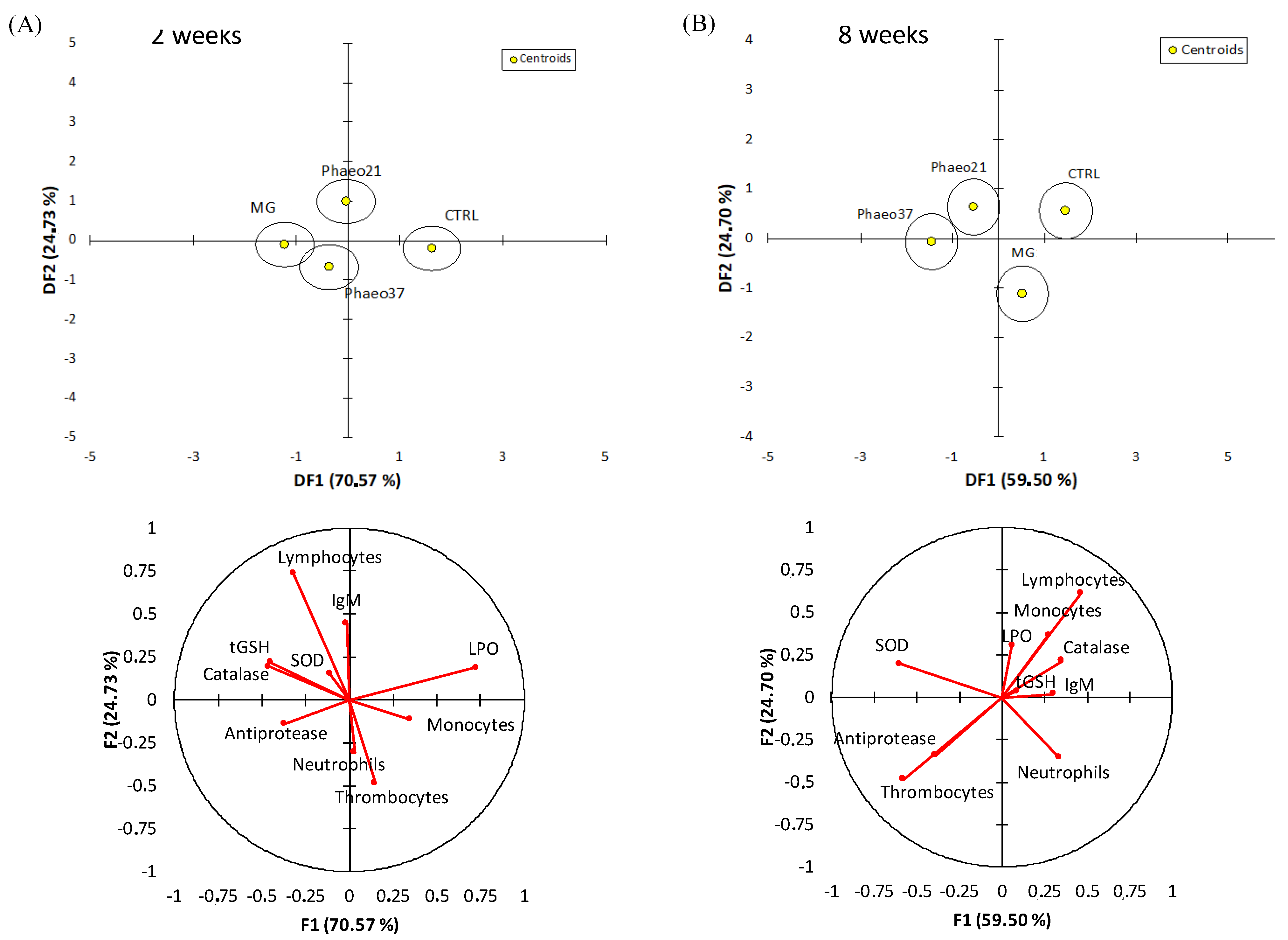 Marinedrugs 19 00653 g002