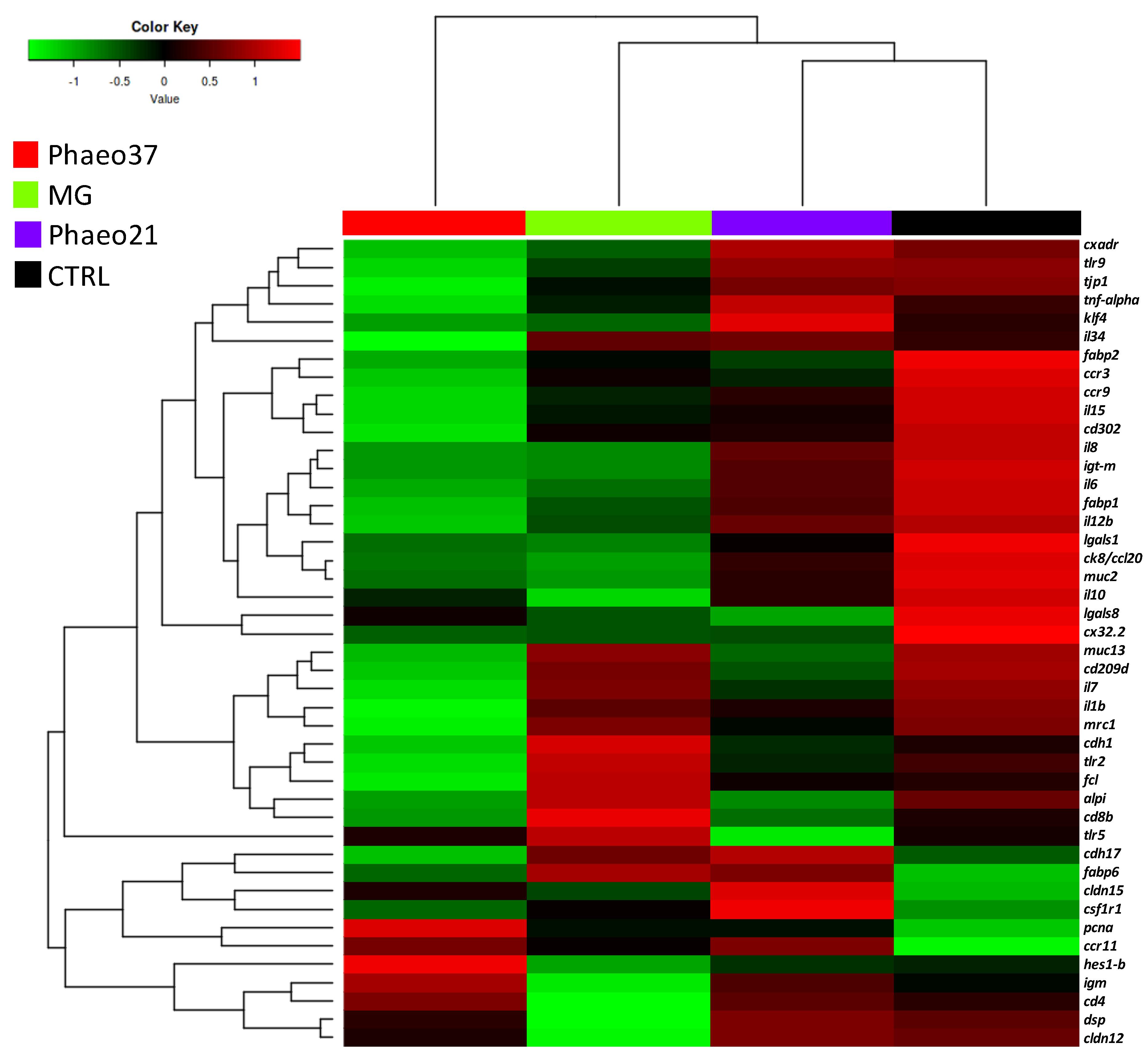 Marinedrugs 19 00653 g004