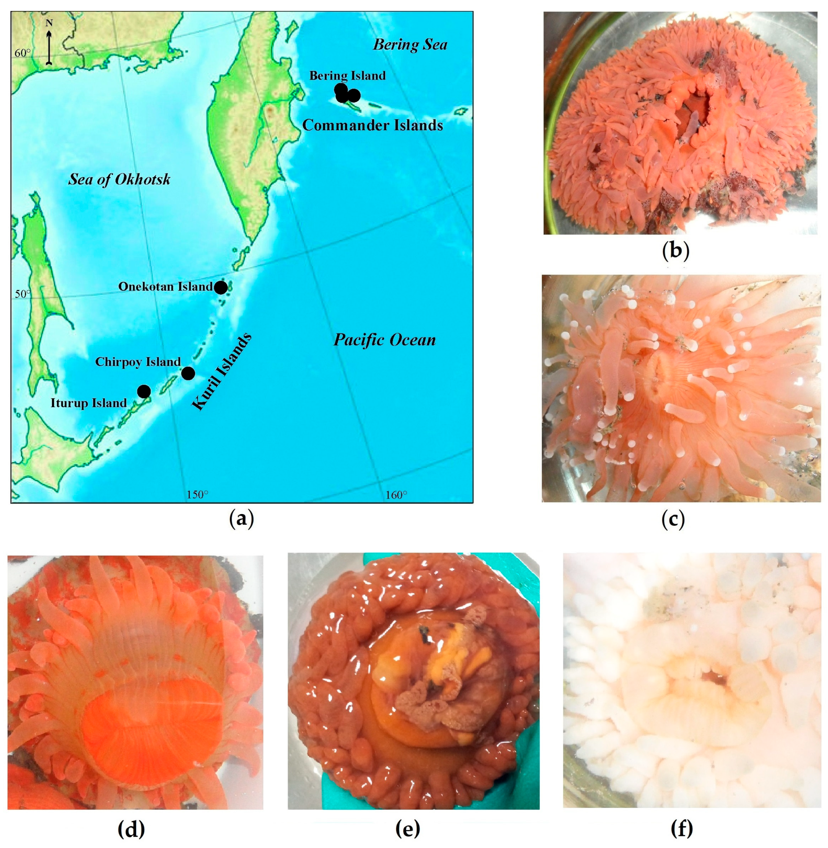 Marinedrugs 19 00654 g001 550