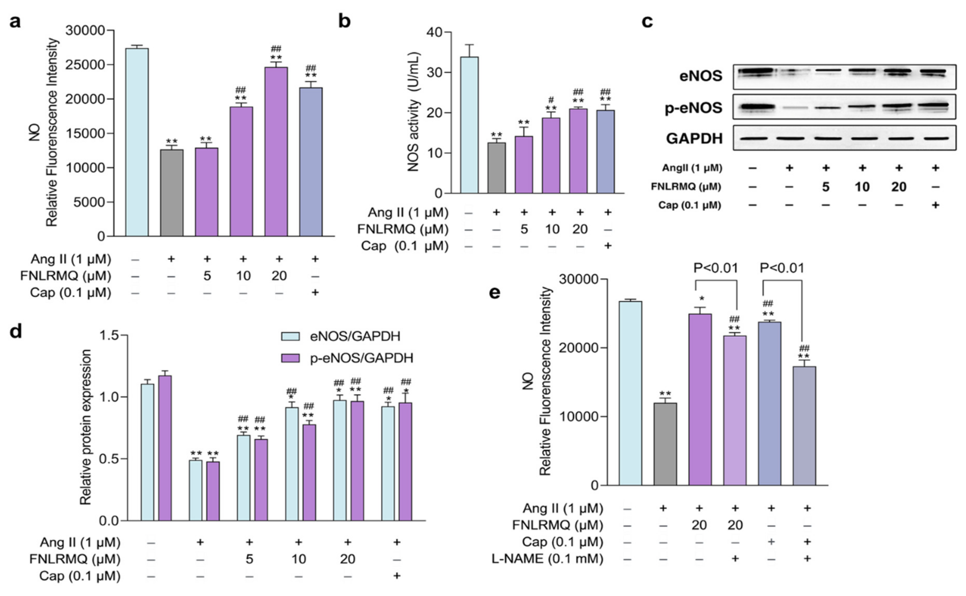 Marinedrugs 19 00655 g005