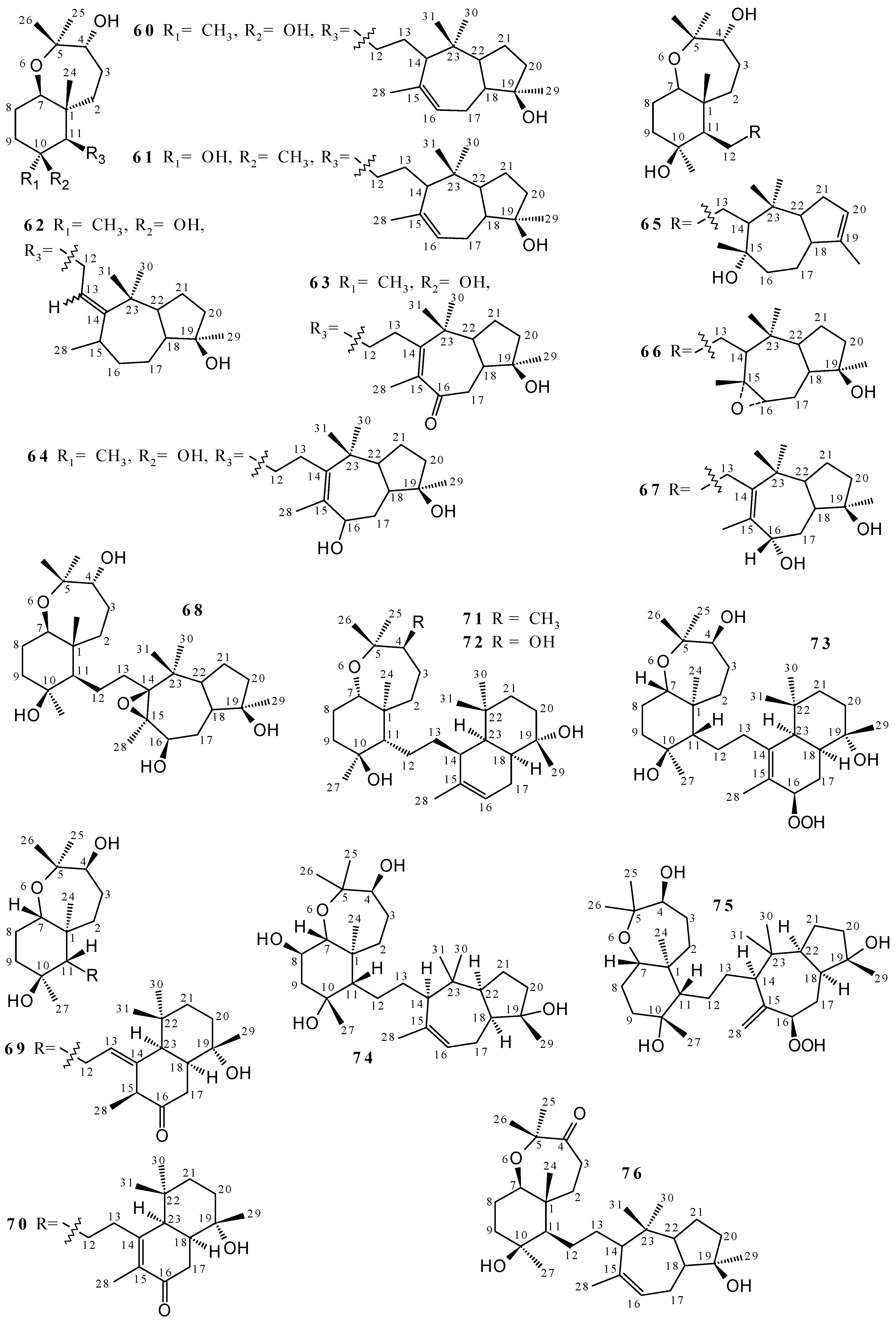 Marinedrugs 19 00663 g002b Marinedrugs 19 00663 g002b