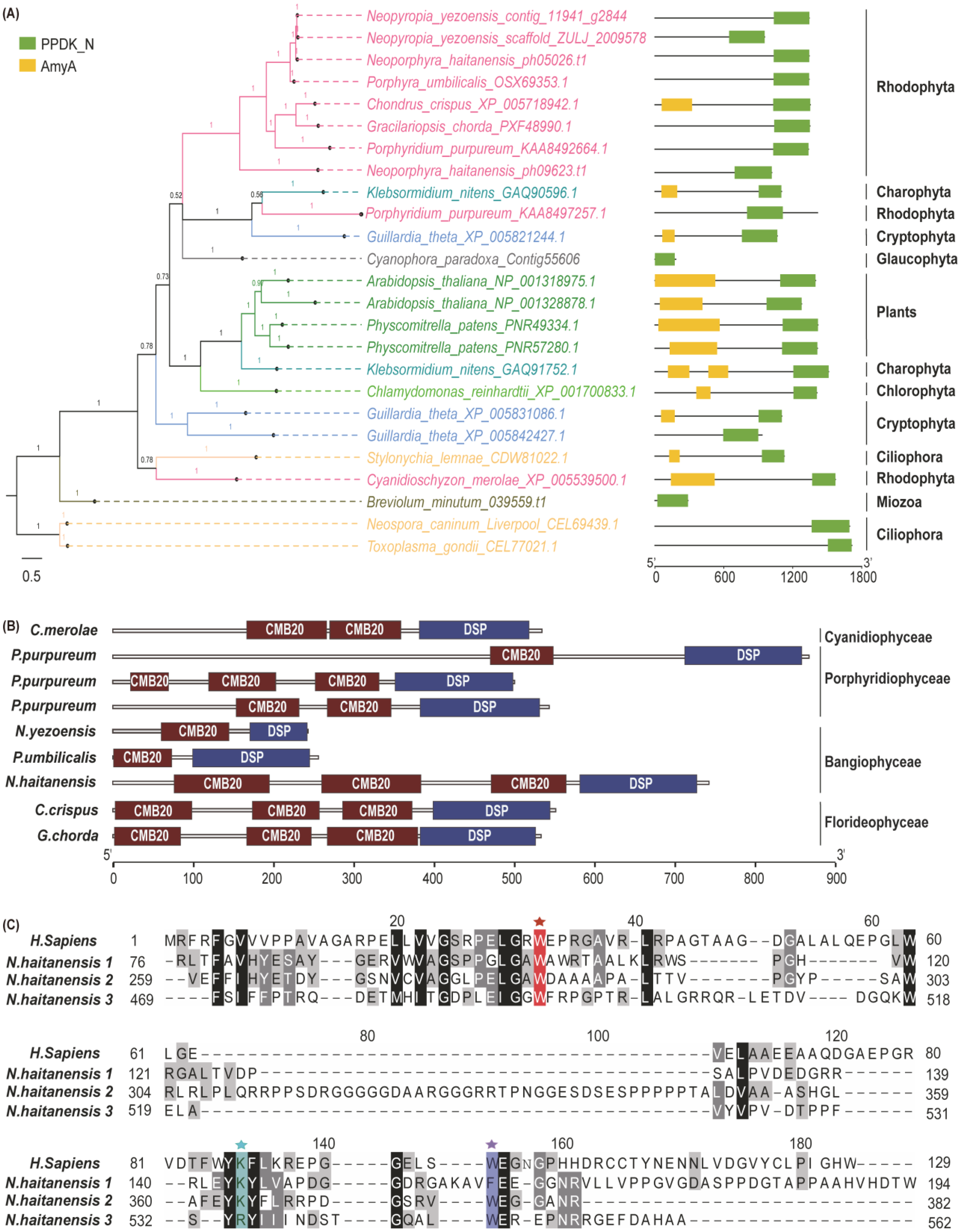 Marinedrugs 19 00664 g002