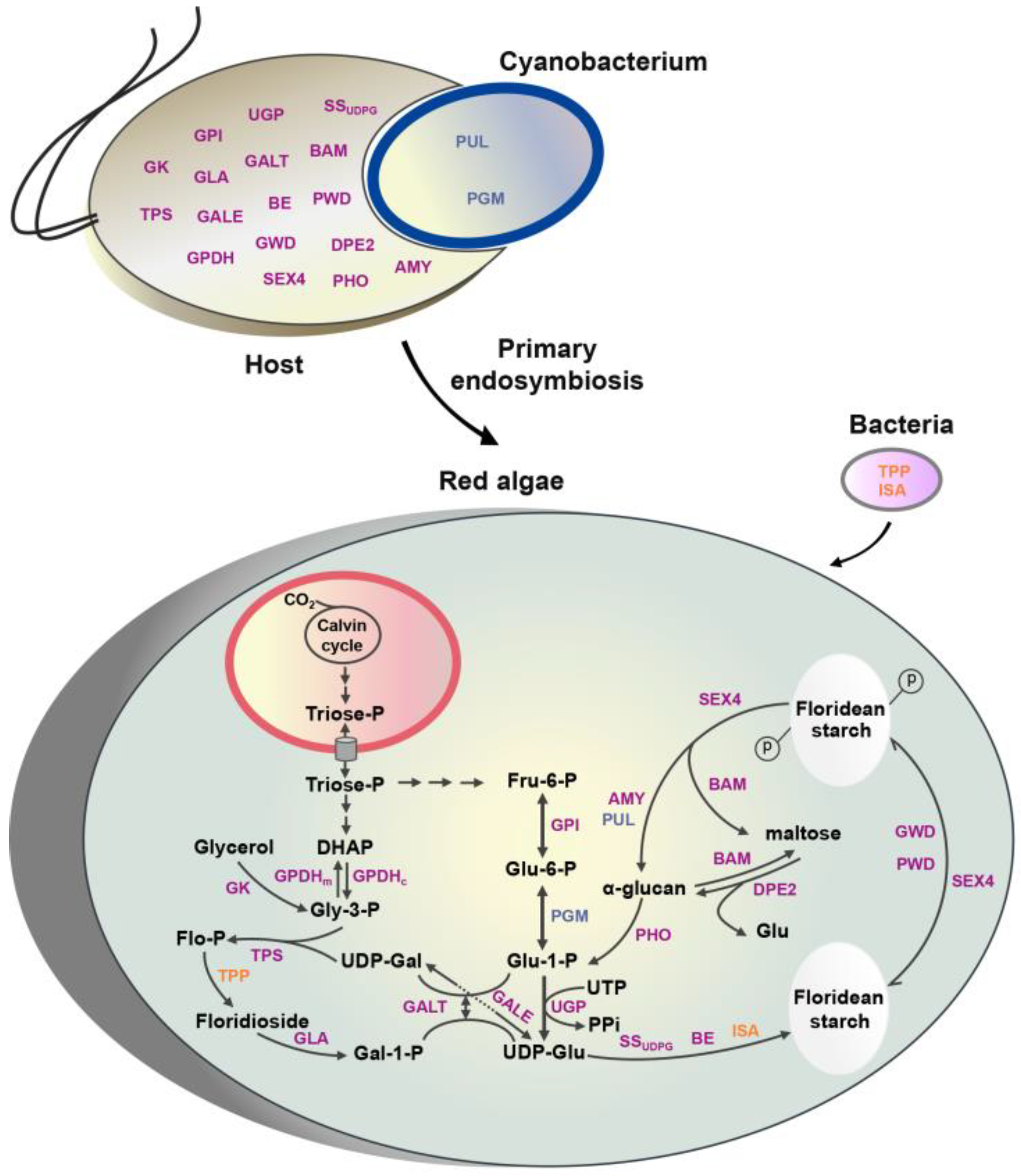 Marinedrugs 19 00664 g003