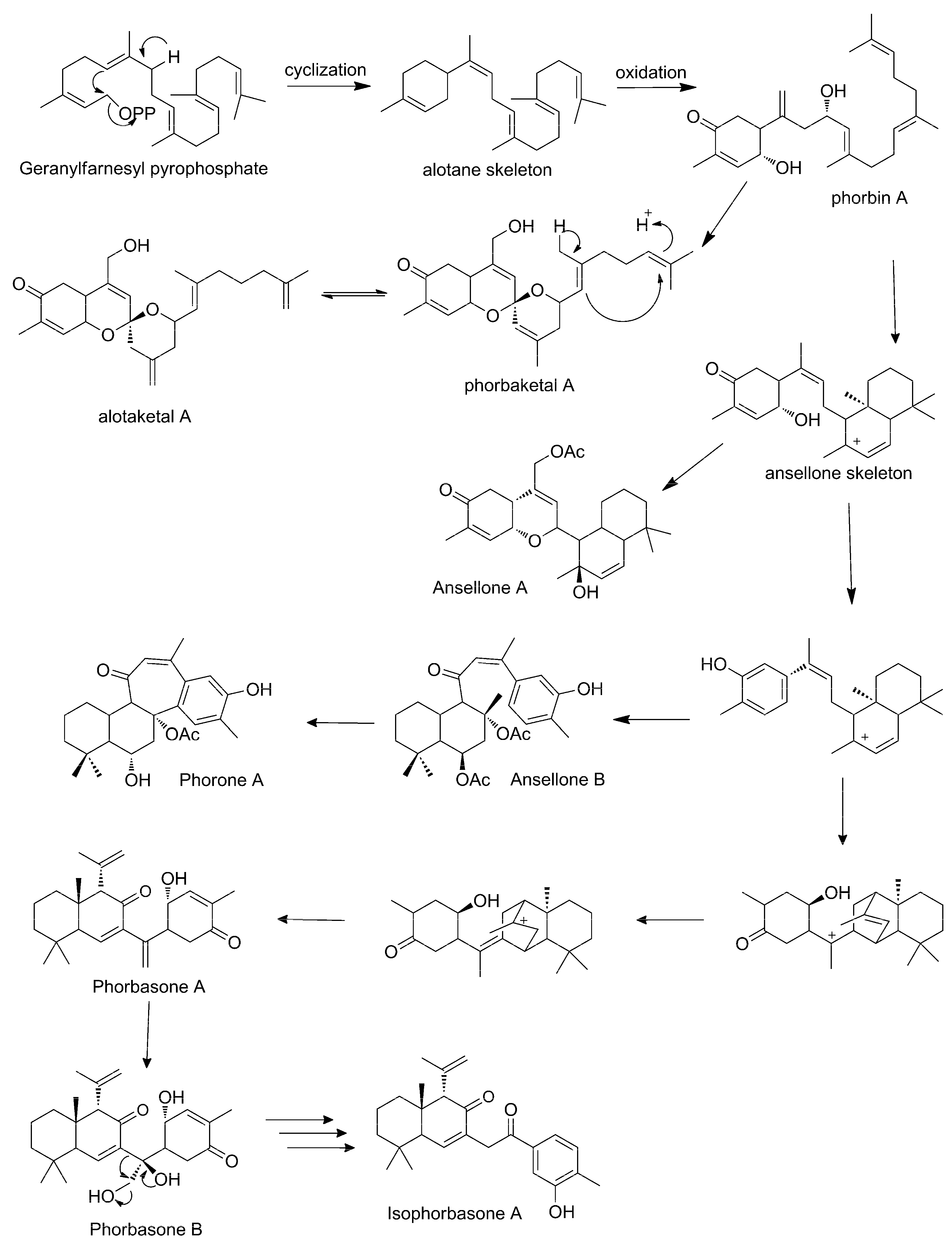 Marinedrugs 19 00667 sch003