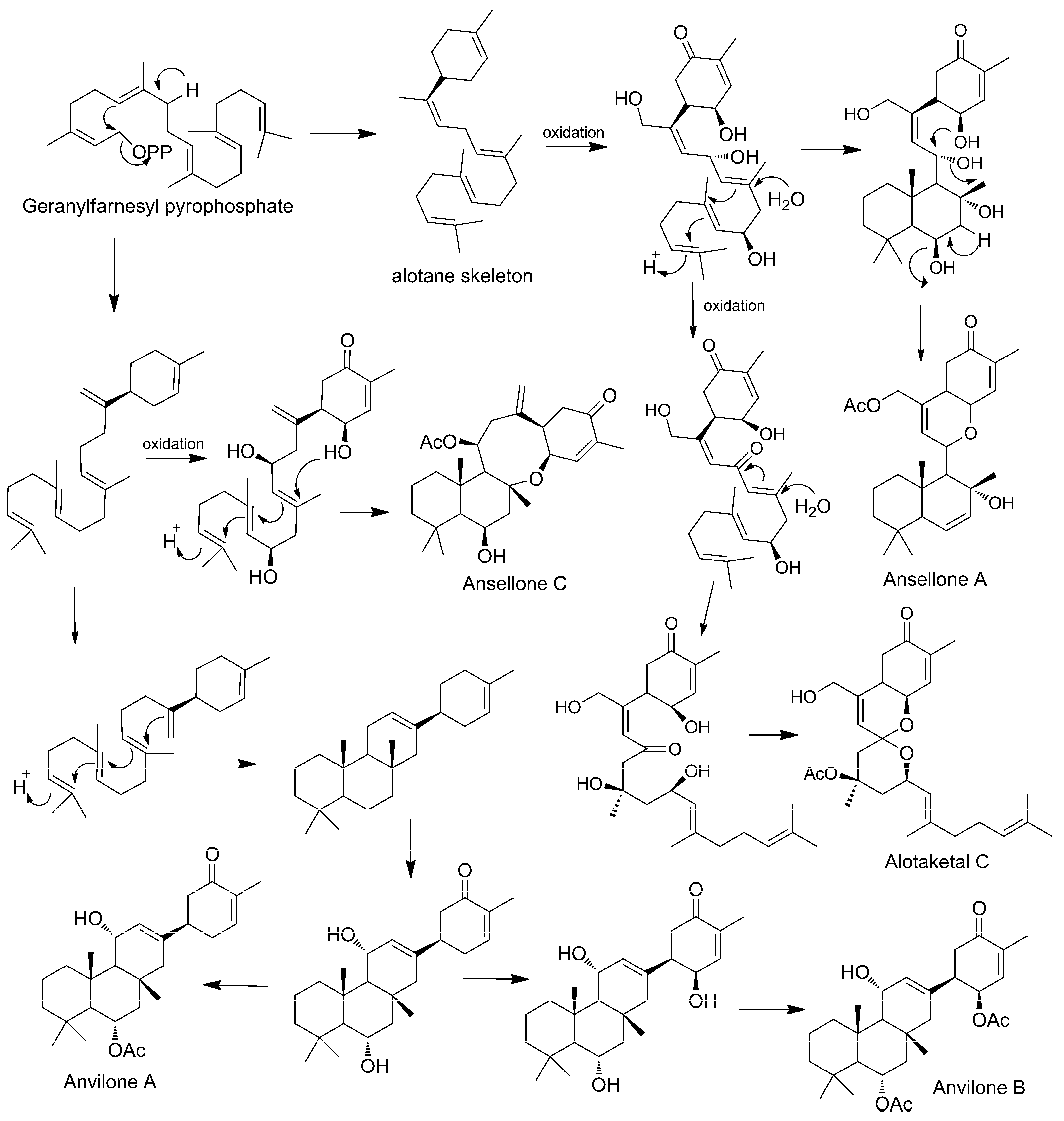 Marinedrugs 19 00667 sch004