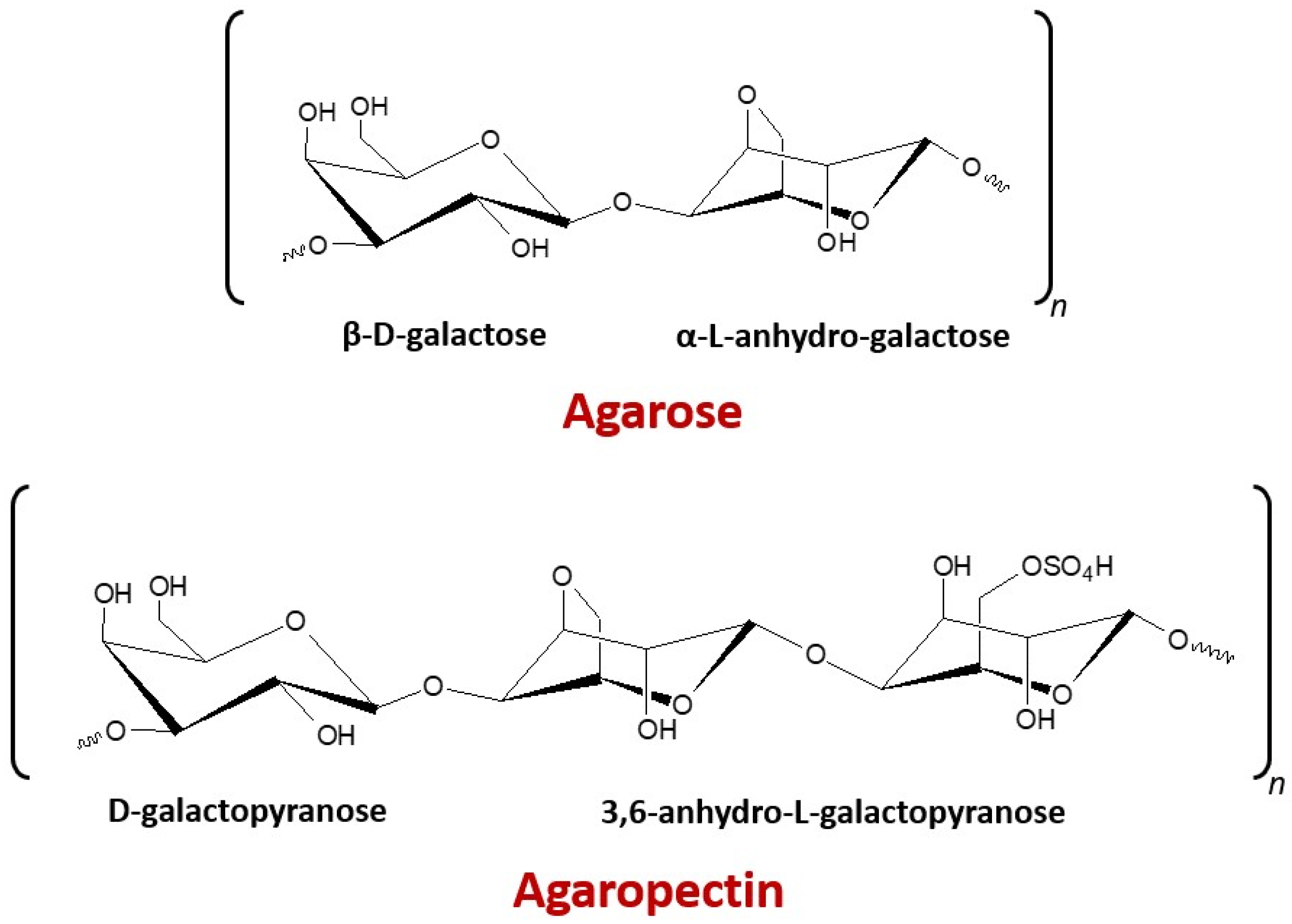 Marinedrugs 19 00672 g001 550