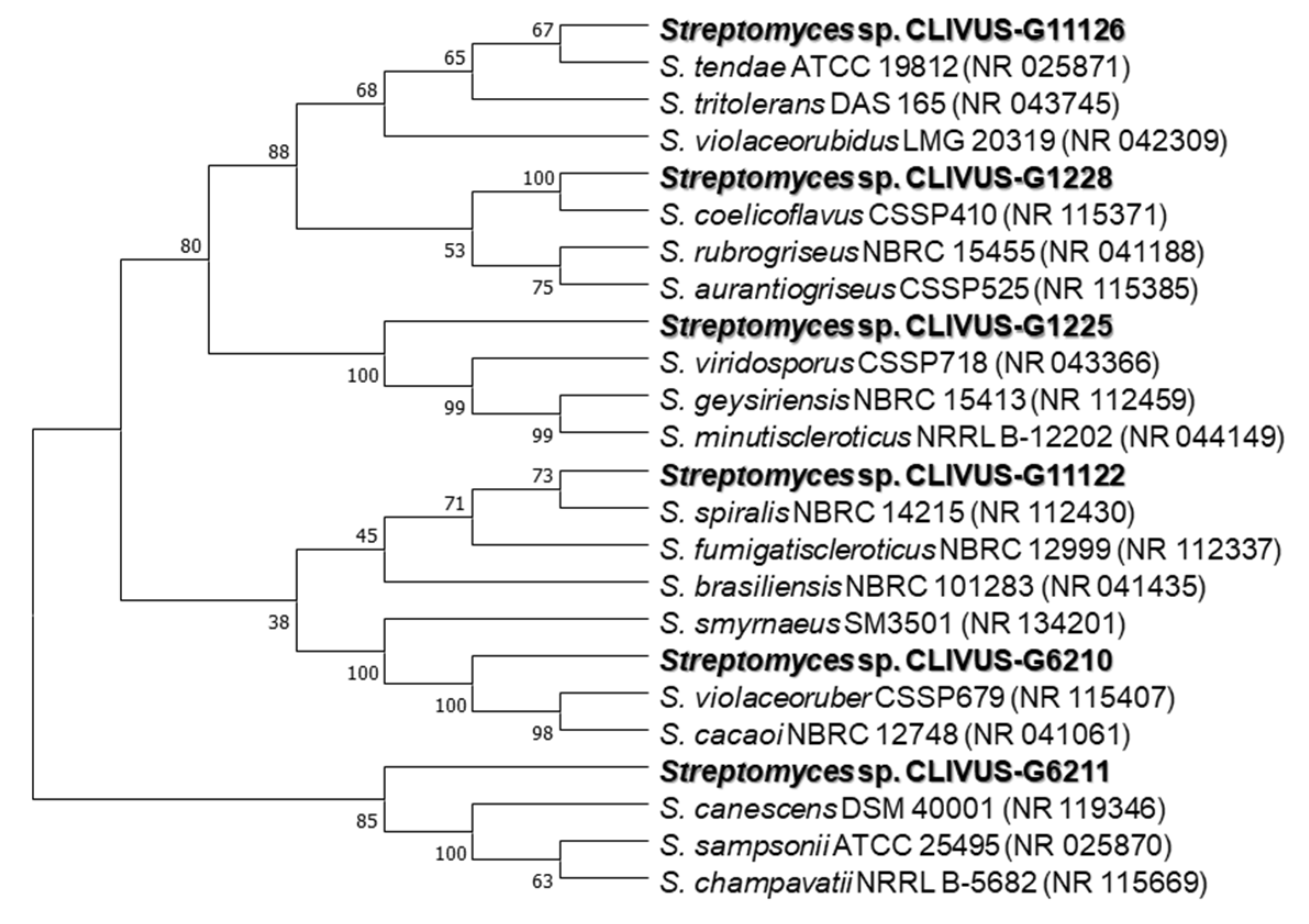 Marinedrugs 19 00674 g007