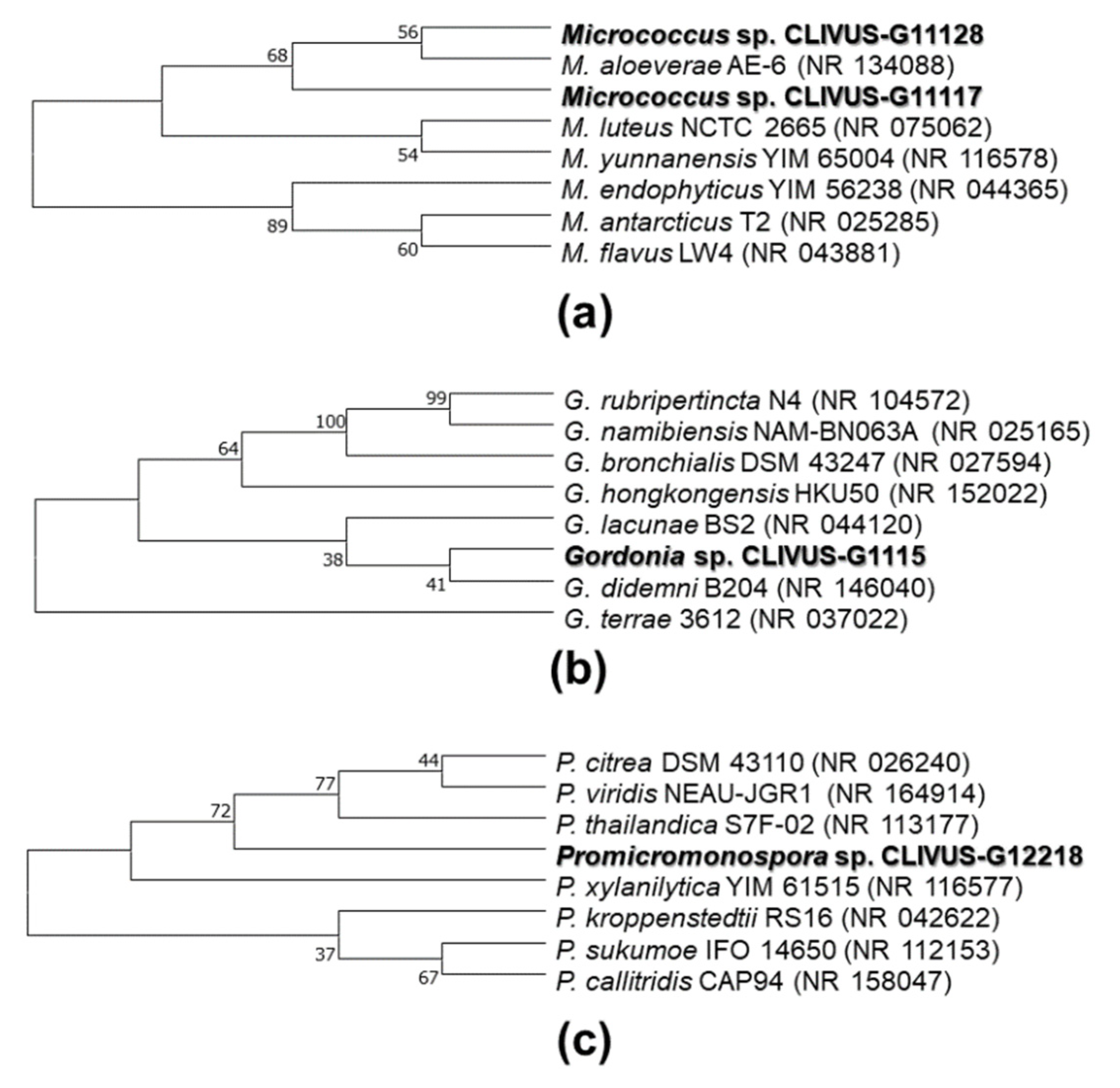 Marinedrugs 19 00674 g008