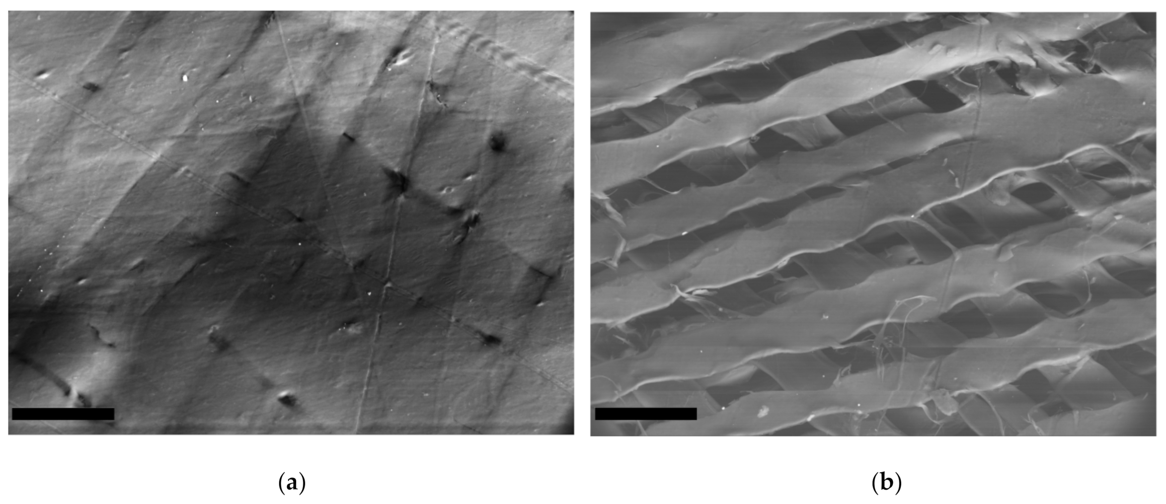 Marinedrugs 19 00679 g005