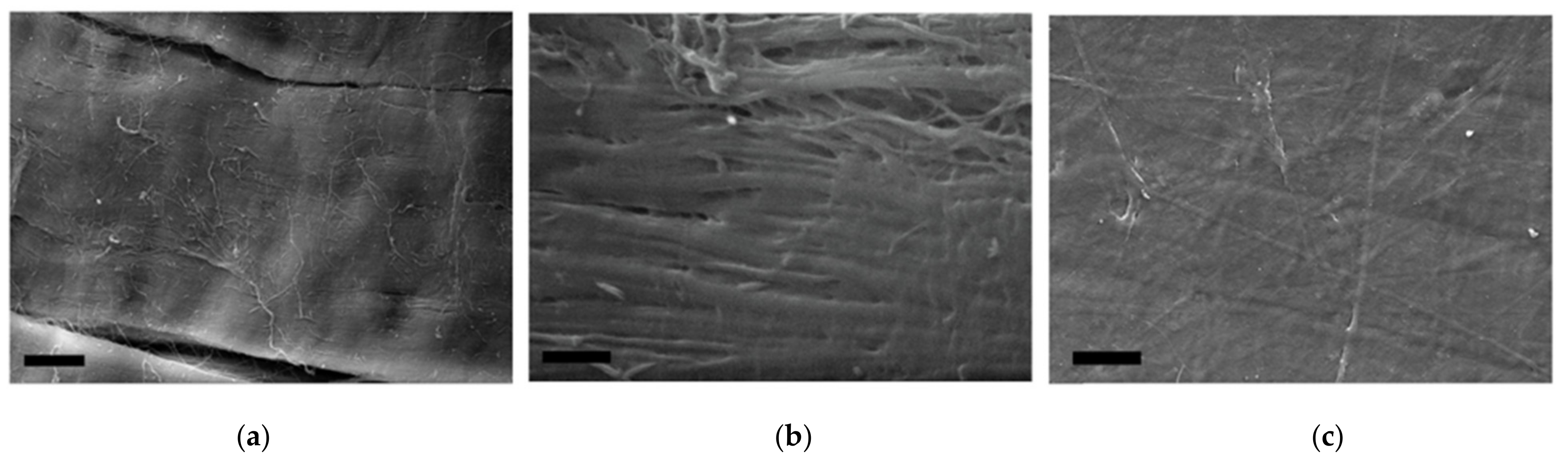 Marinedrugs 19 00679 g006